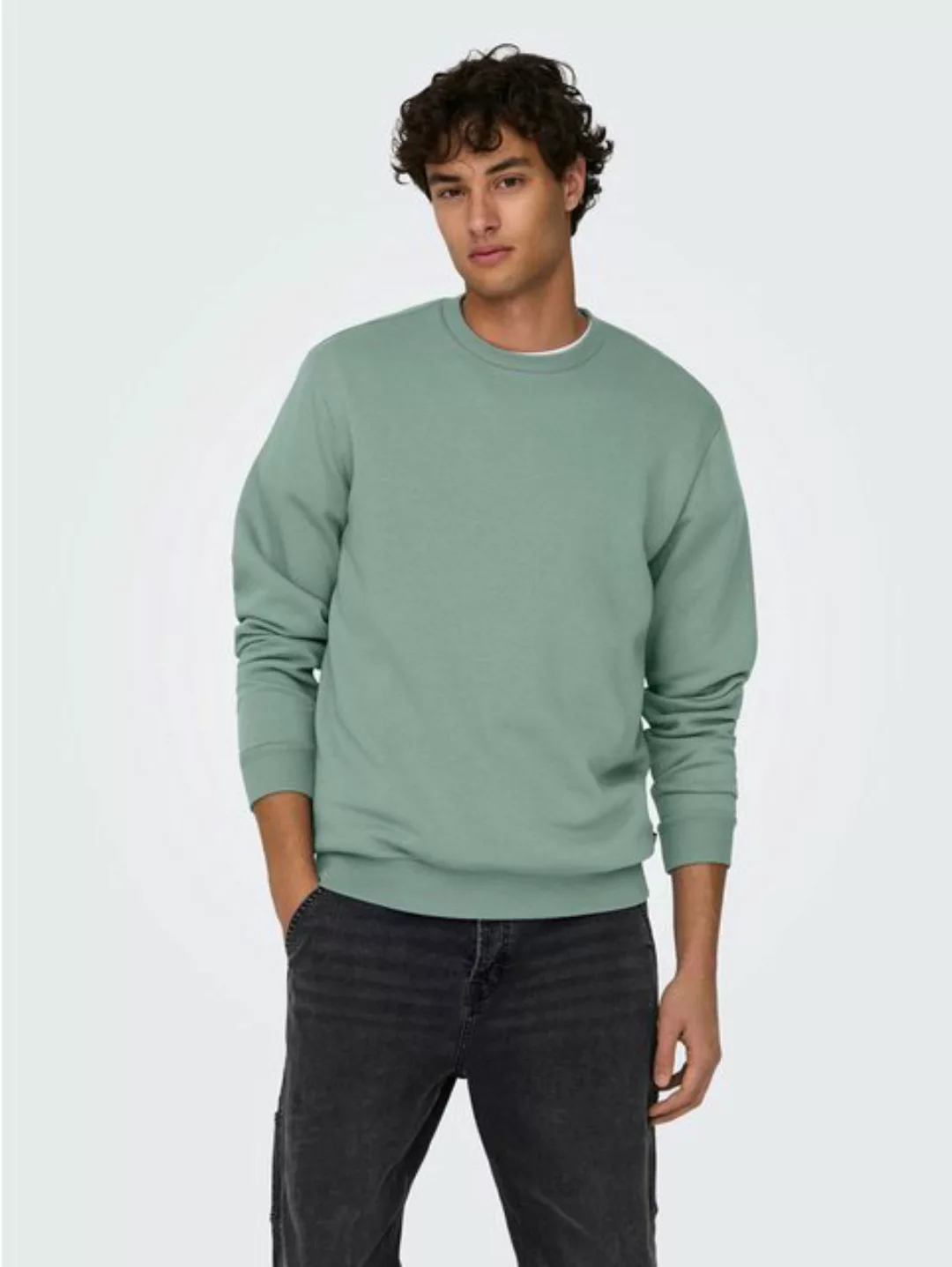 ONLY & SONS Sweatshirt ONSCERES CREW NECK NOOS günstig online kaufen