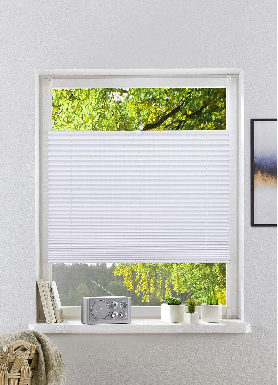 my home Plissee GELLO, Lichtschutz, ohne günstig online kaufen