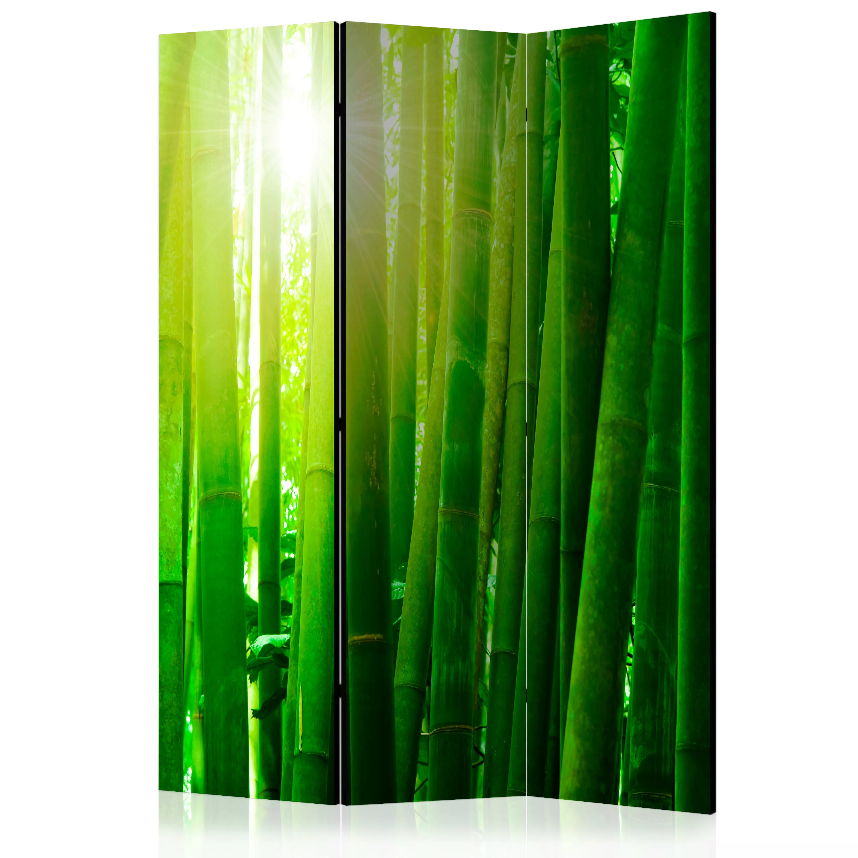 3-teiliges Paravent - Sun And Bamboo [room Dividers] günstig online kaufen