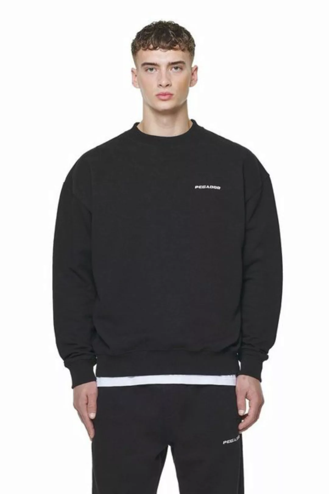 Pegador Sweater Logo S (1-tlg., kein Set) günstig online kaufen