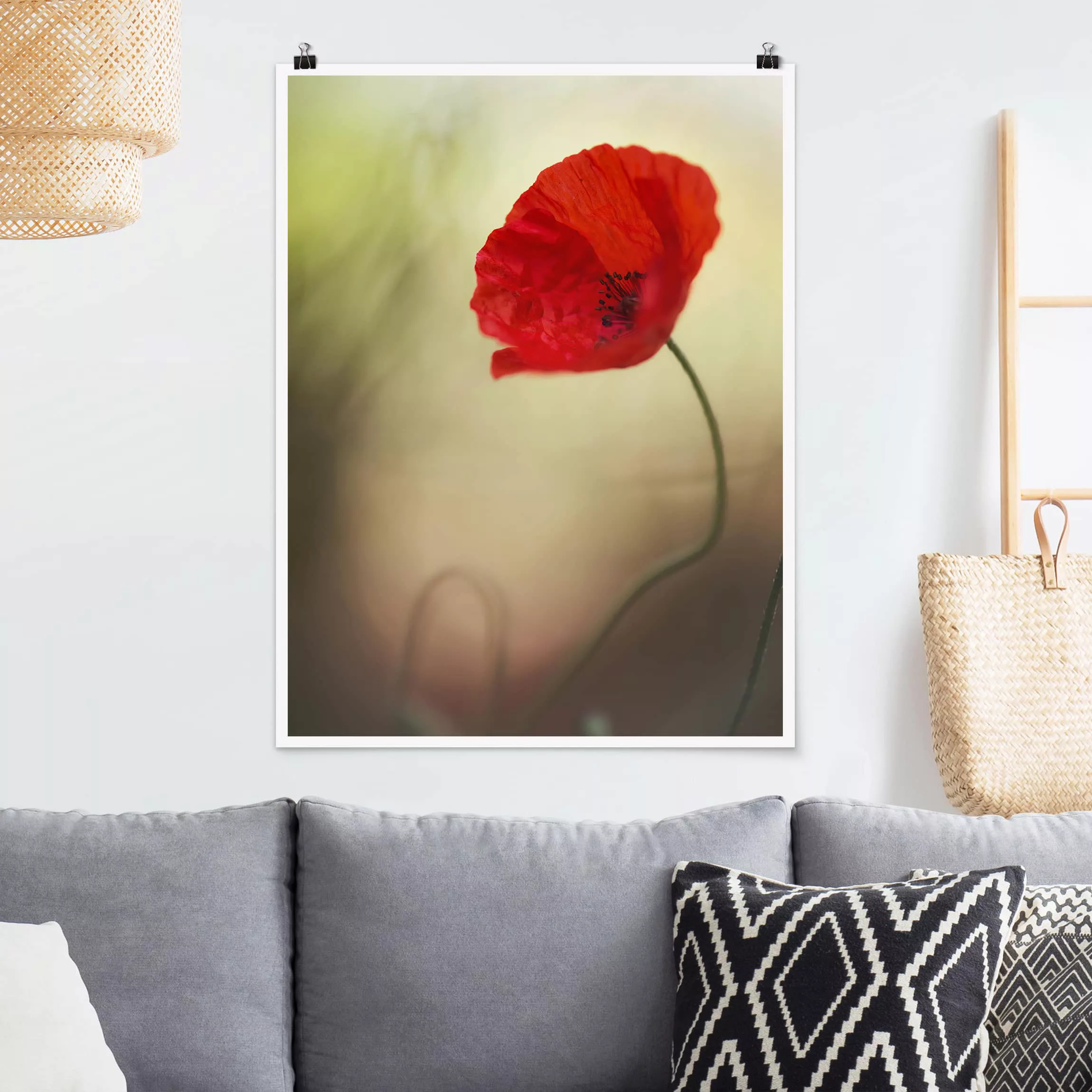 Poster Blumen - Hochformat Mohnblüte im Garten günstig online kaufen