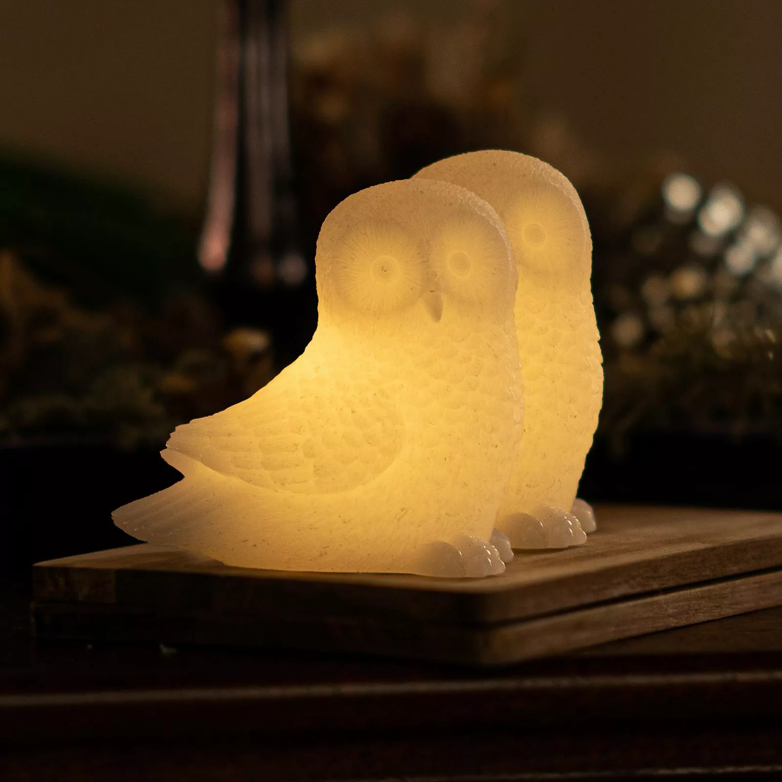 LED-Dekoleuchte Ellen Owl aus Wachs, 2er-Set günstig online kaufen