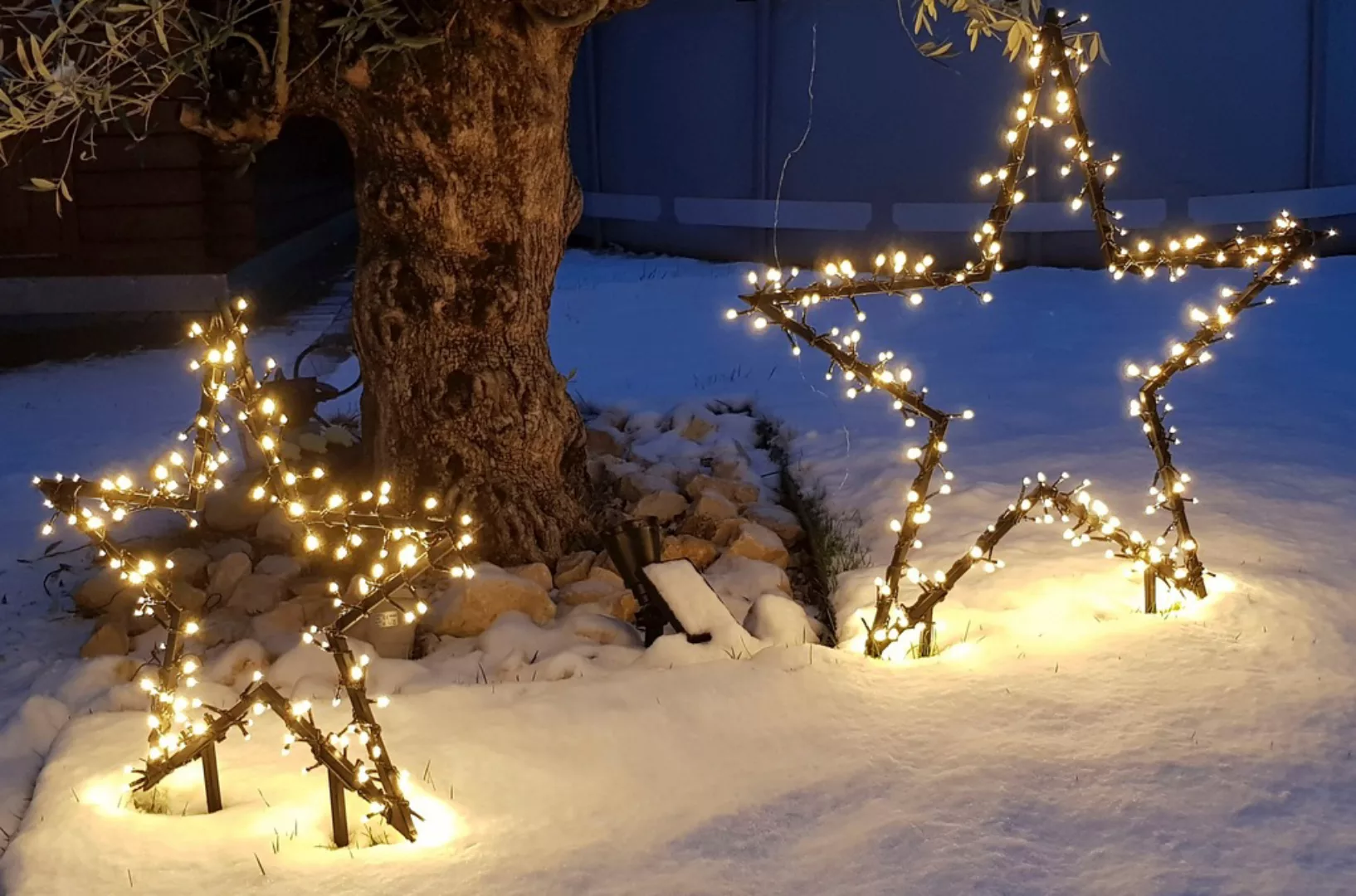 my home LED Stern "Caden, Weihnachtsstern, Weihnachtsdeko mit 150 LEDs", Ga günstig online kaufen