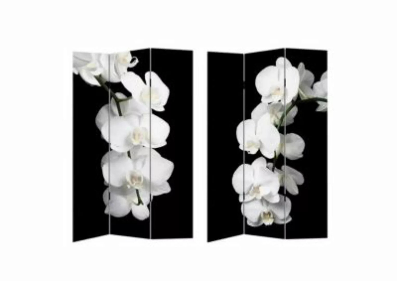 HTI-Line Paravent Orchidee schwarz günstig online kaufen