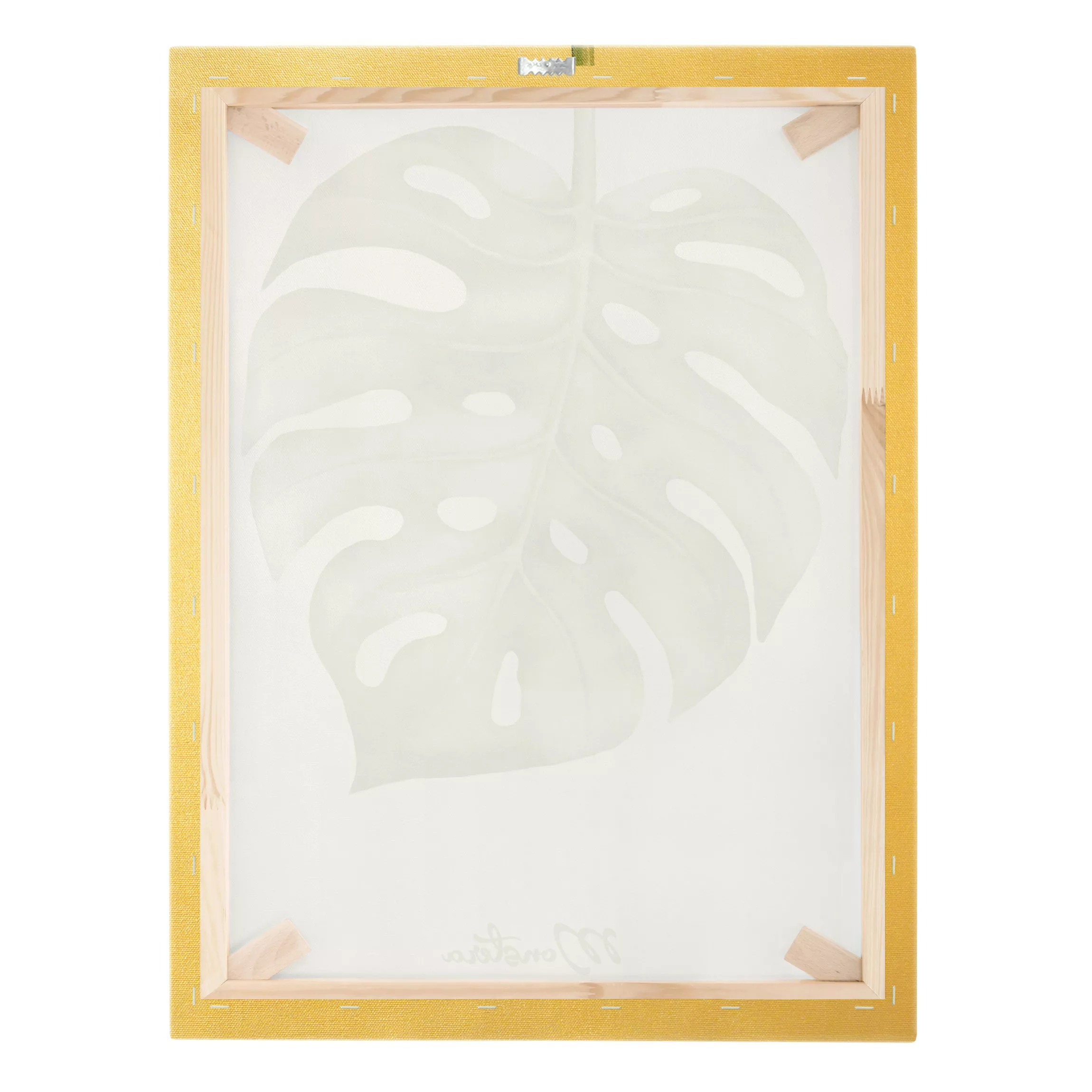 Leinwandbild Aquarell Botanik Monstera günstig online kaufen