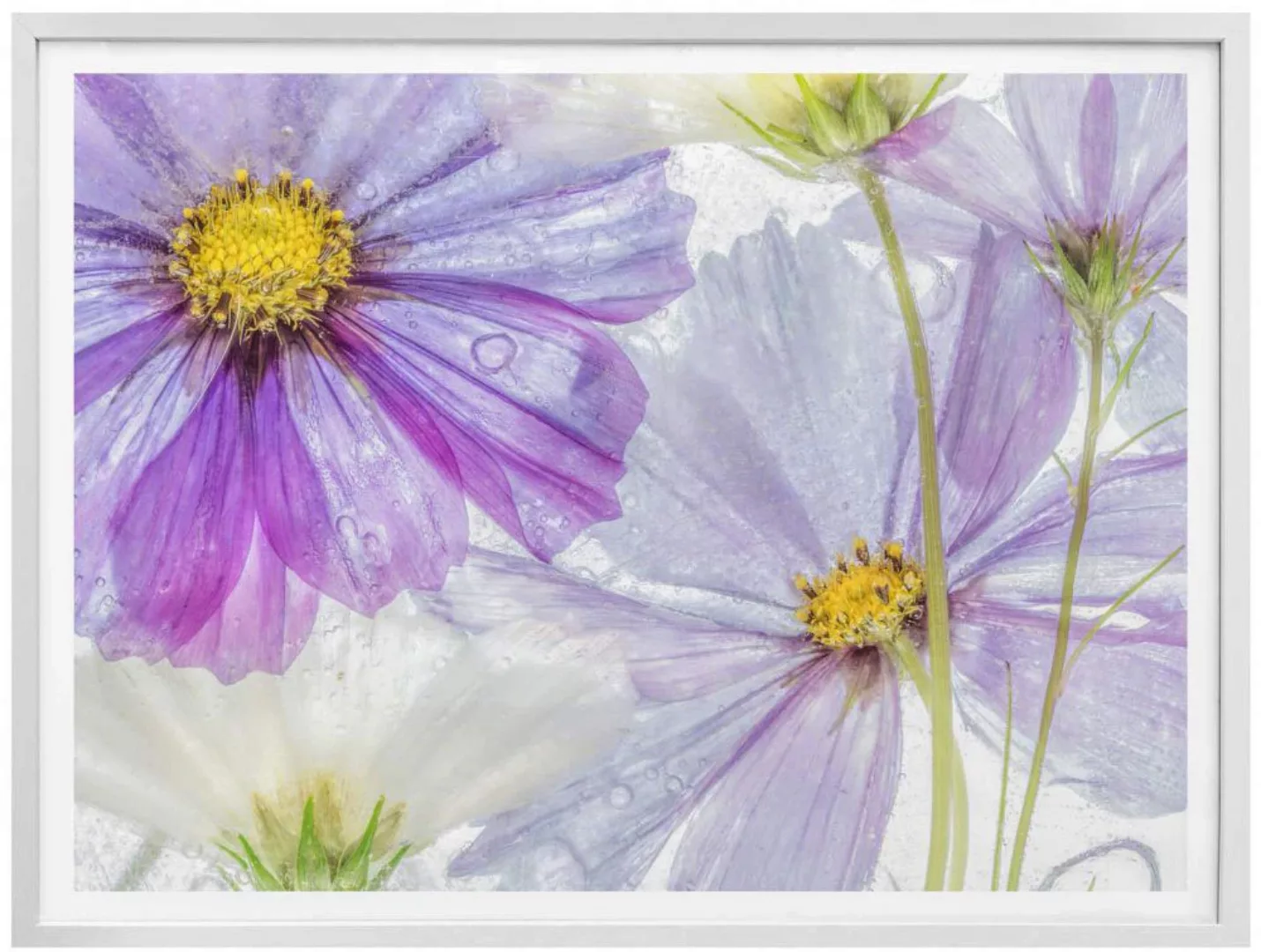 Wall-Art Poster »Florale Lila Blau Blumen Kunst«, Blumen, (1 St.) günstig online kaufen