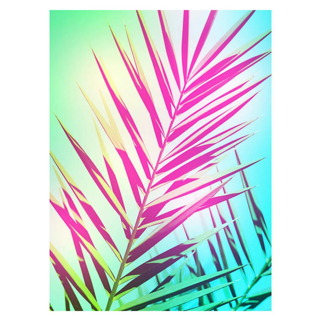 Komar Wandbild Shine Palmenblätter B/L: ca. 50x70 cm günstig online kaufen