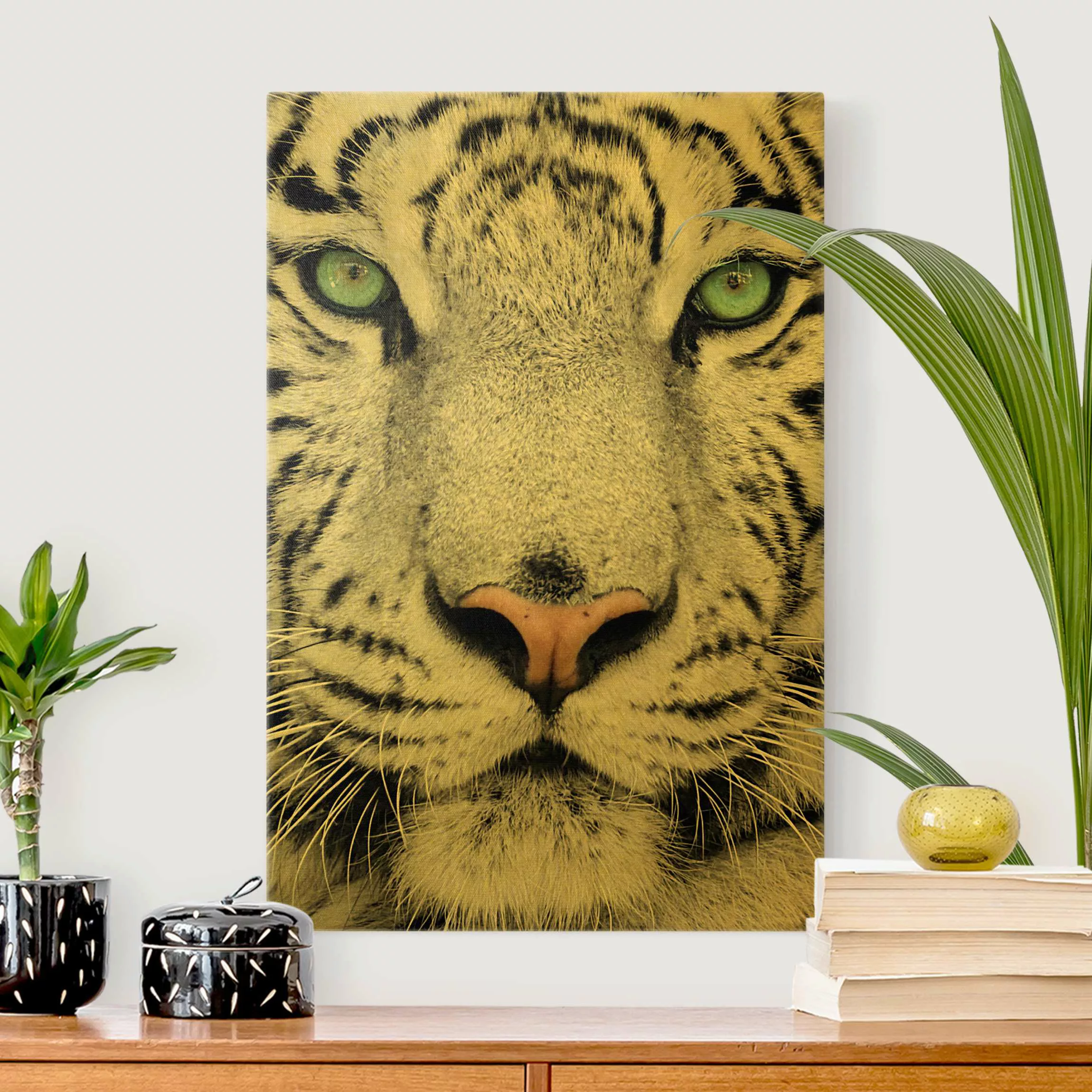 Leinwandbild Gold Weißer Tiger günstig online kaufen