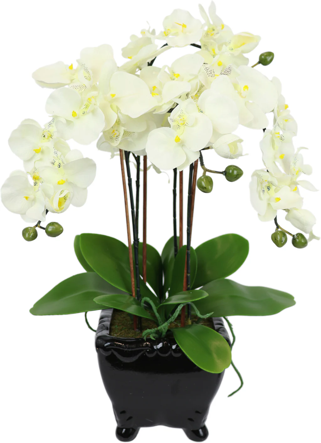 I.GE.A. Kunstblume "Künstliche Orchidee in Schale Phalaenopsis Kunstblume B günstig online kaufen