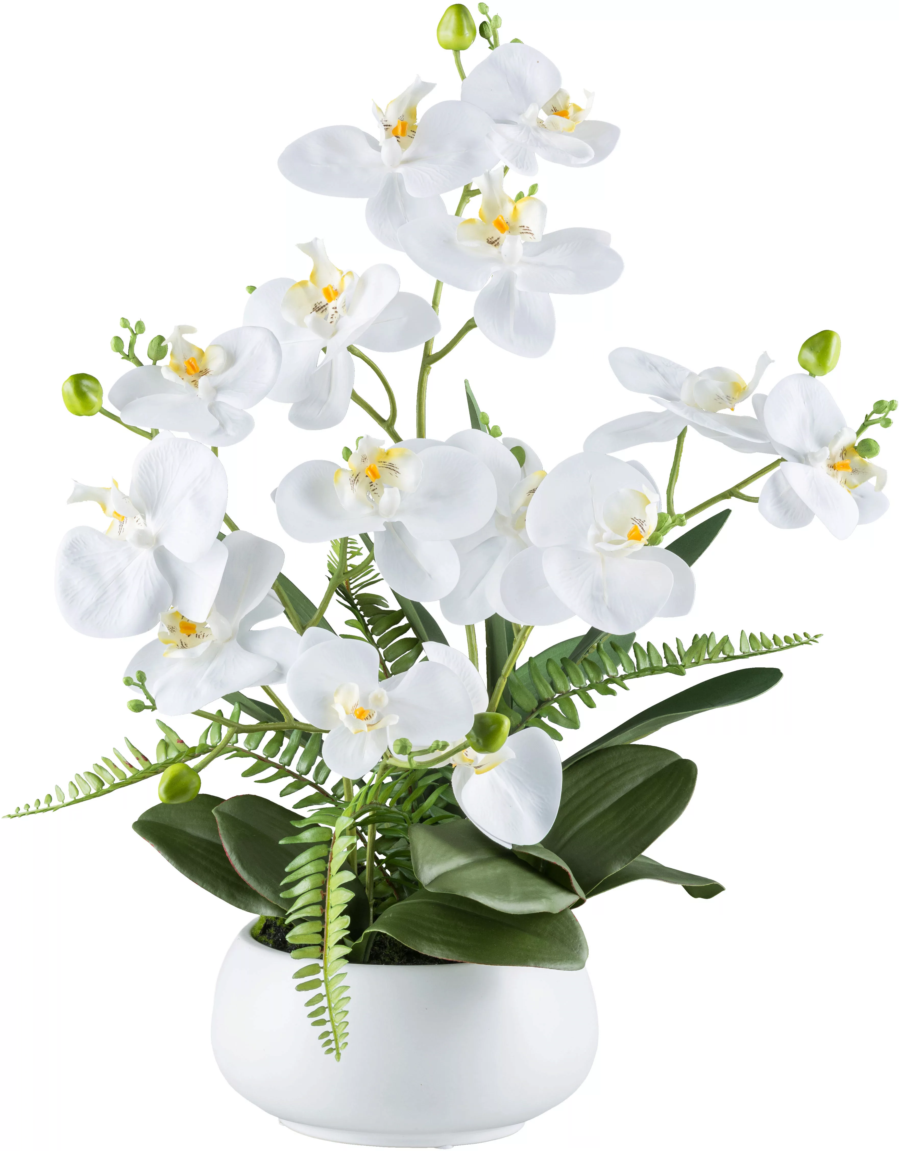 Creativ green Kunstorchidee "Orchidee Phalaenopsis", mit Farnzweigen günstig online kaufen