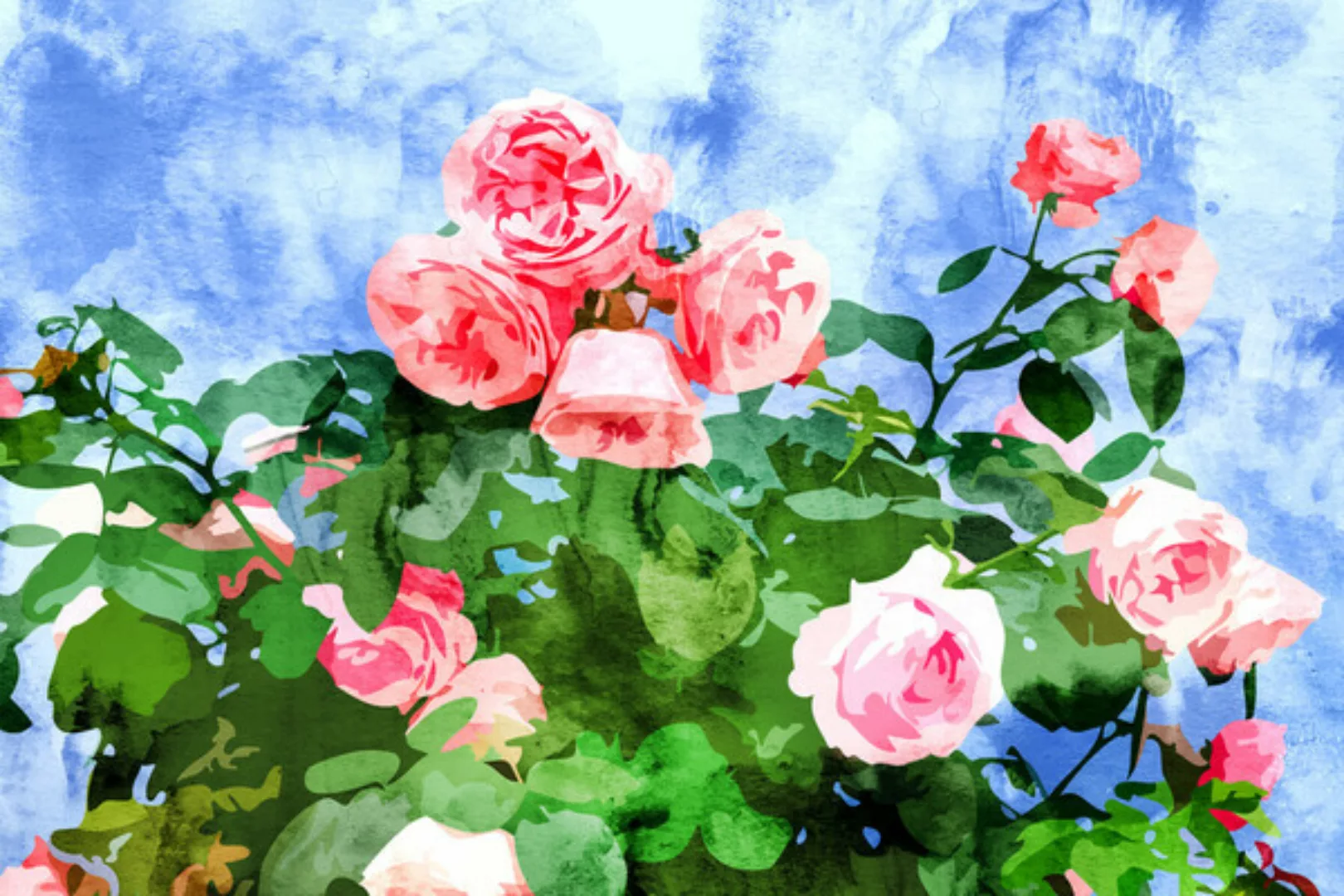 Poster / Leinwandbild - Sweet Rose Garden, Nature Botanical Watercolor Pain günstig online kaufen