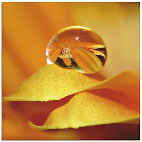 Artland Glasbild "Wassertropfen II", Blätter, (1 St.), in verschiedenen Grö günstig online kaufen