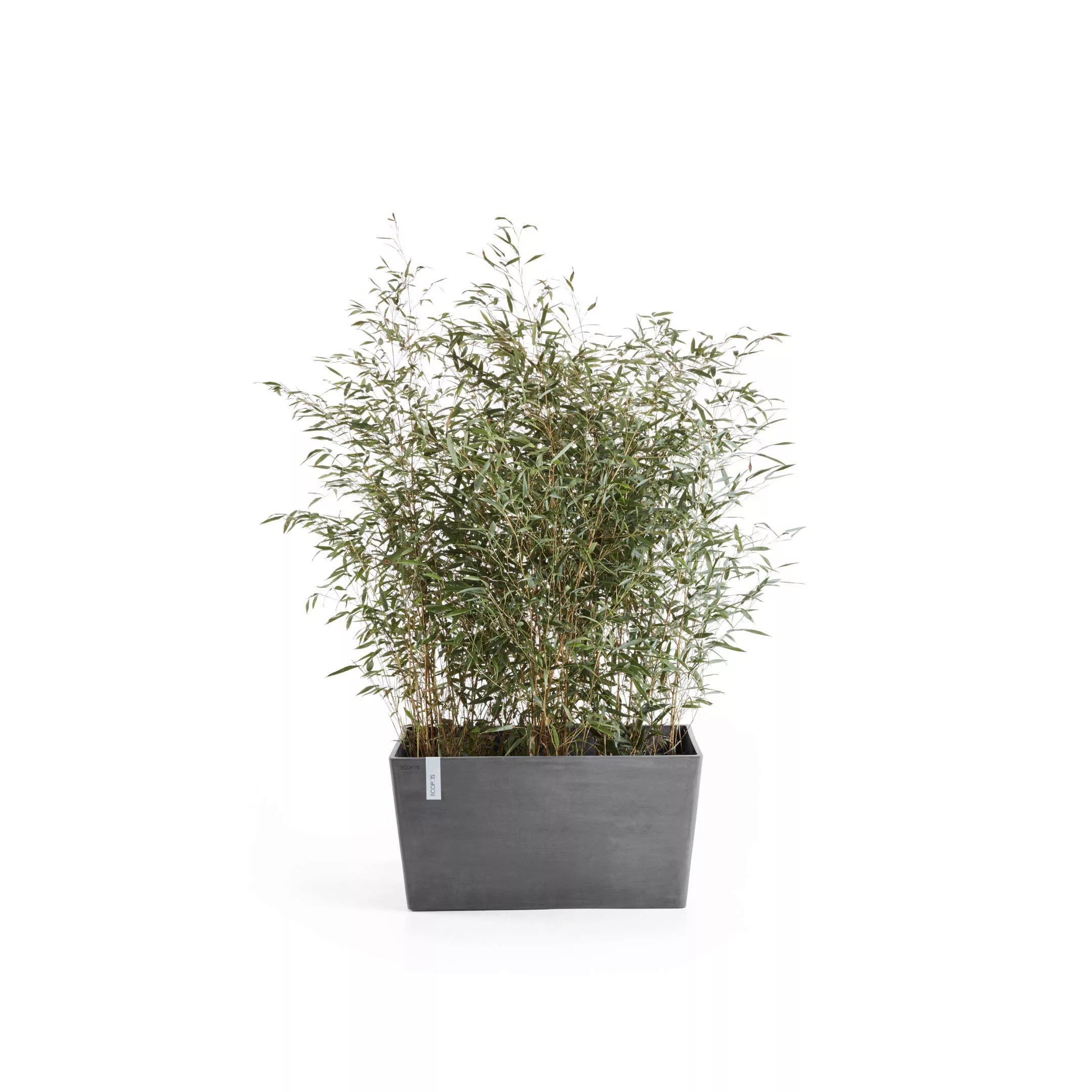 Ecopots Pflanztopf Paris Grau (HxBxT) 50 x 99 x 46 cm günstig online kaufen