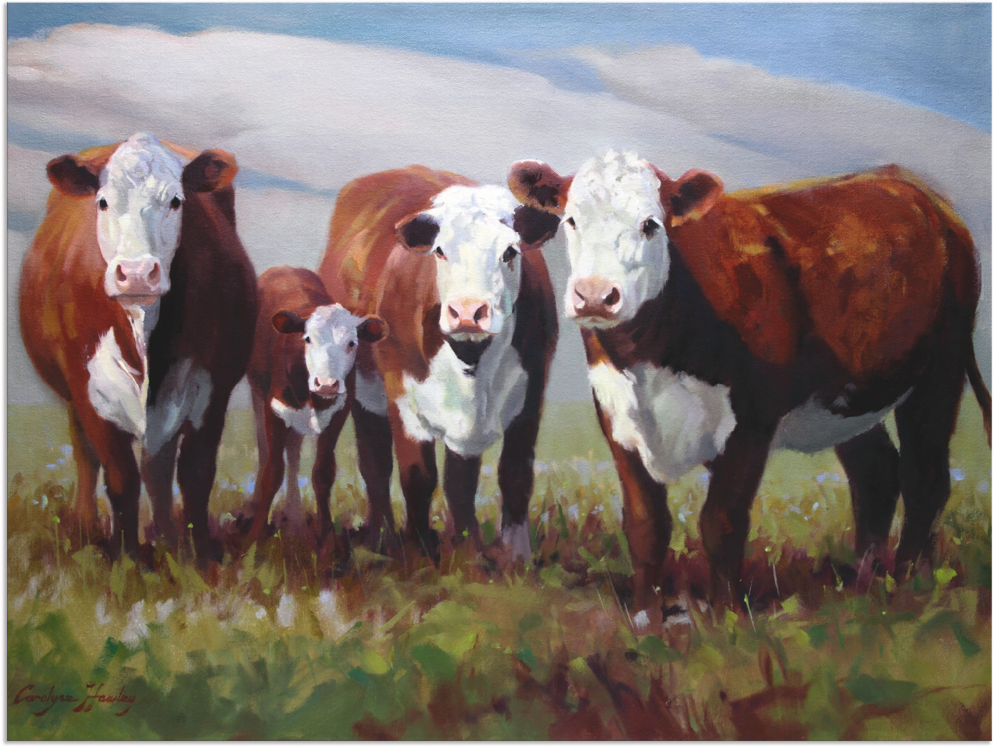 Artland Wandbild "Zuhause der Kühe", Haustiere, (1 St.), als Alubild, Outdo günstig online kaufen