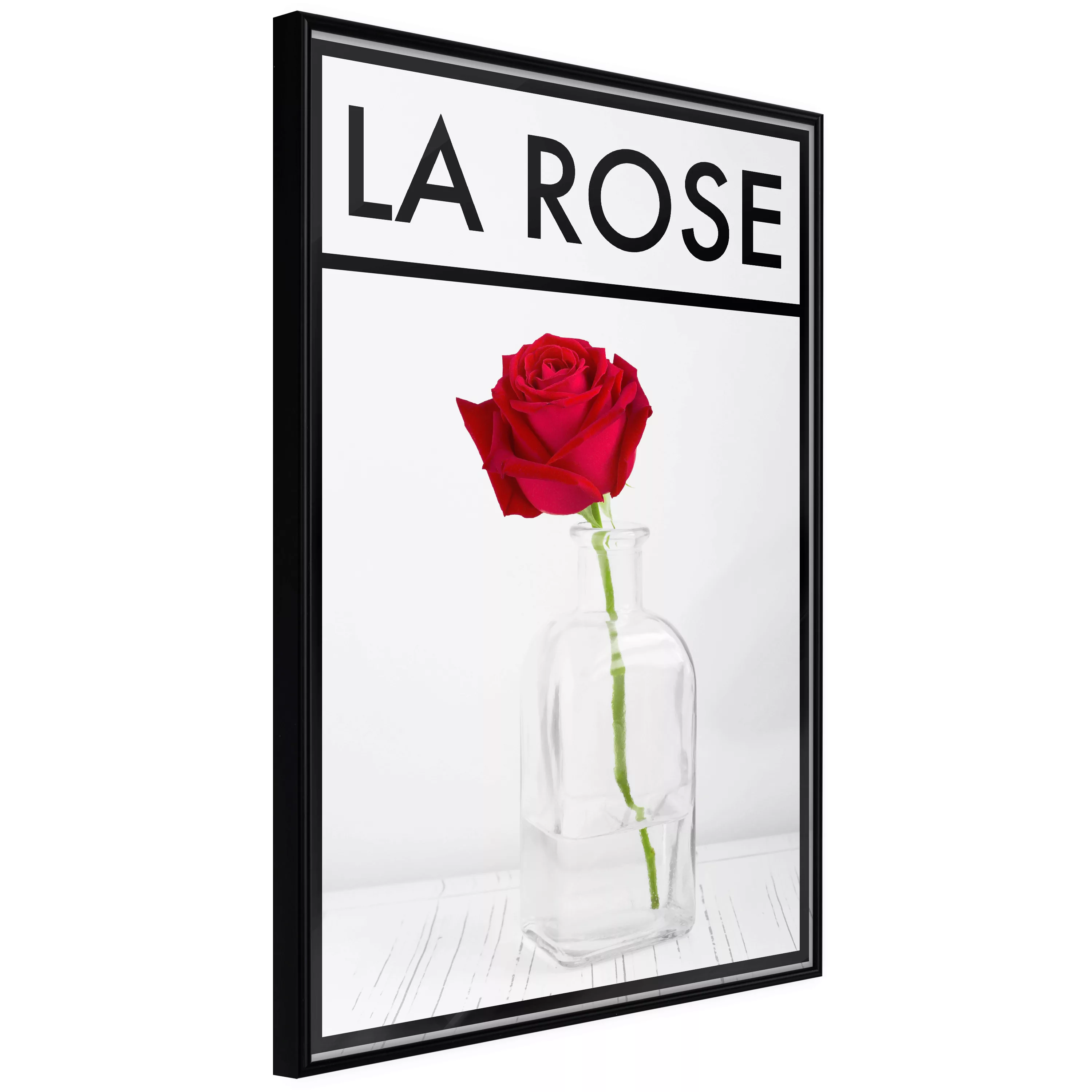 Poster - Rose In The Vase günstig online kaufen