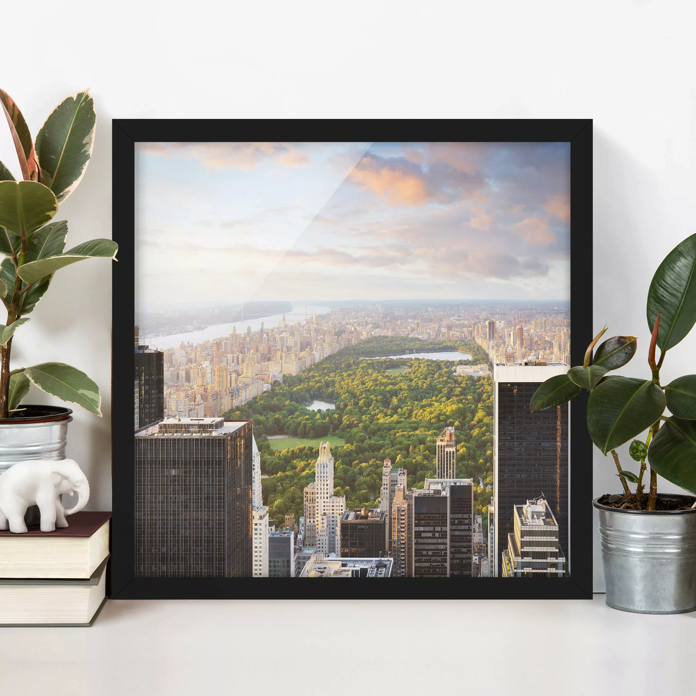 Bild mit Rahmen Architektur & Skyline - Quadrat Blick über den Central Park günstig online kaufen