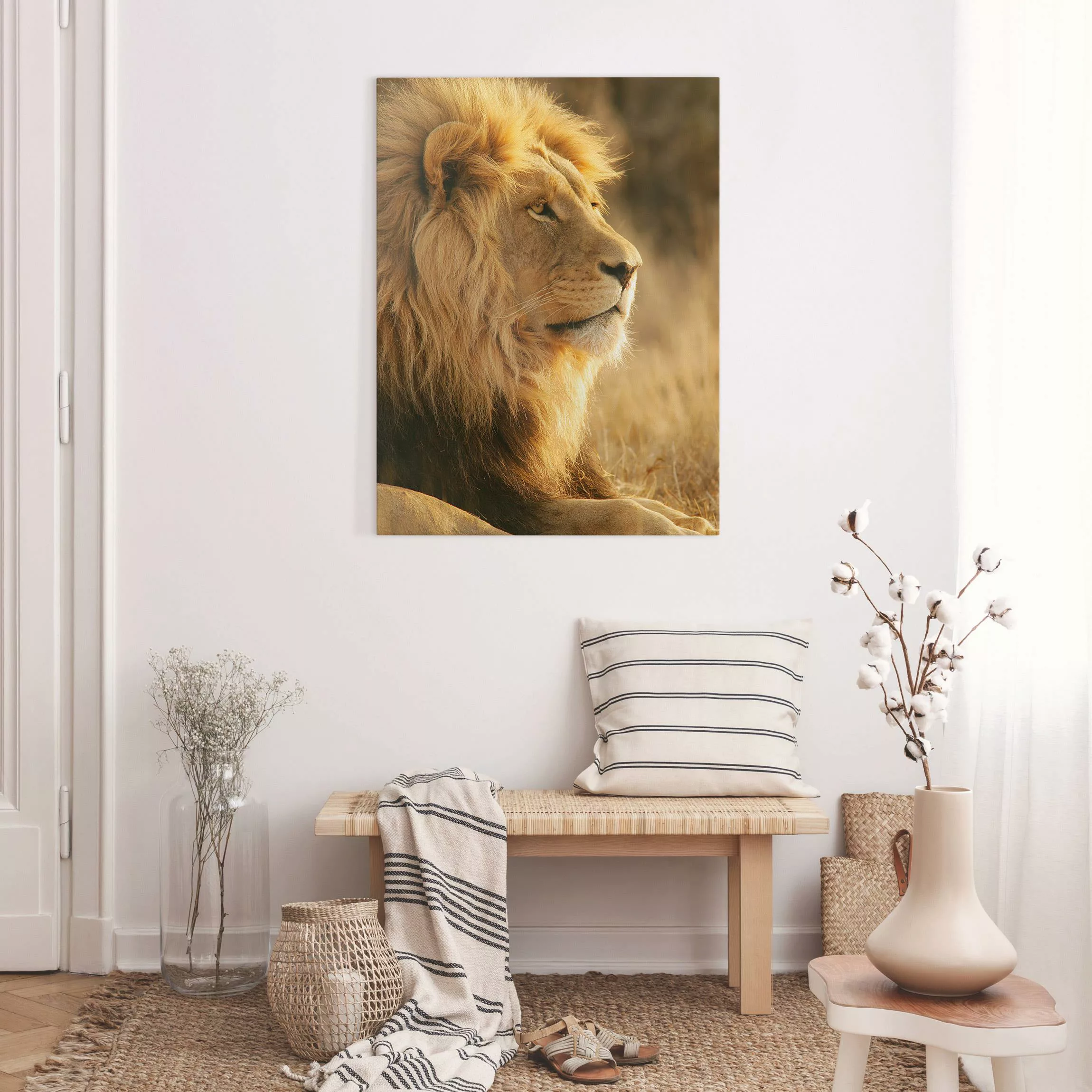 Leinwandbild Löwenkönig günstig online kaufen
