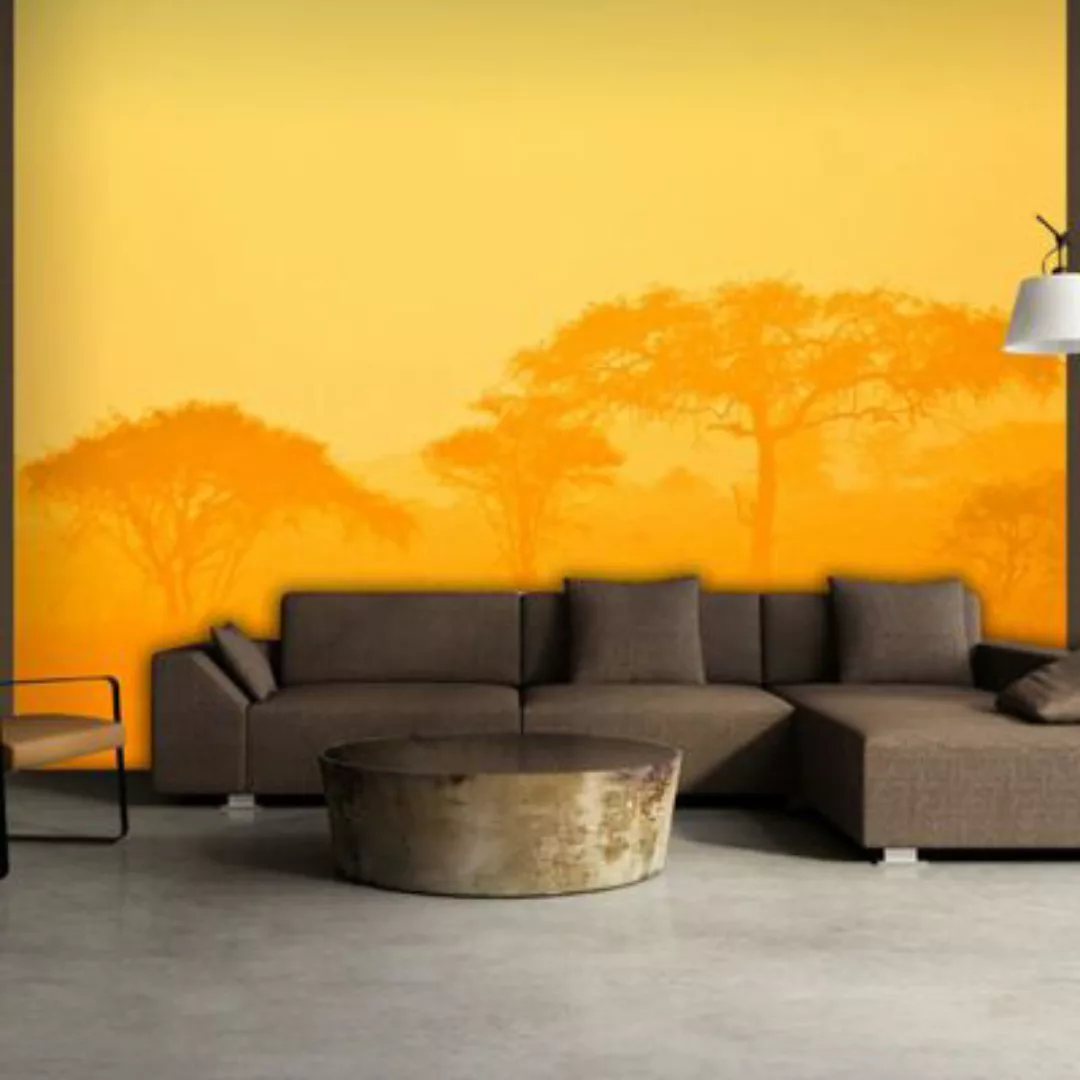 artgeist Fototapete Orange savanna orange/gelb Gr. 250 x 193 günstig online kaufen