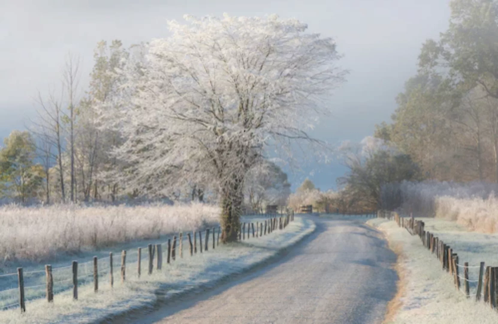 Papermoon Fototapete »Photo-Art CHRIS MOORE, EIN FROSTIGER MORGEN« günstig online kaufen