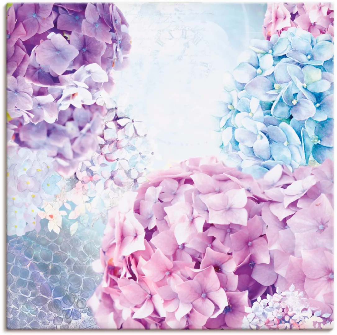 Artland Wandbild "Blau und Pink Hortensie", Blumen, (1 St.), als Leinwandbi günstig online kaufen