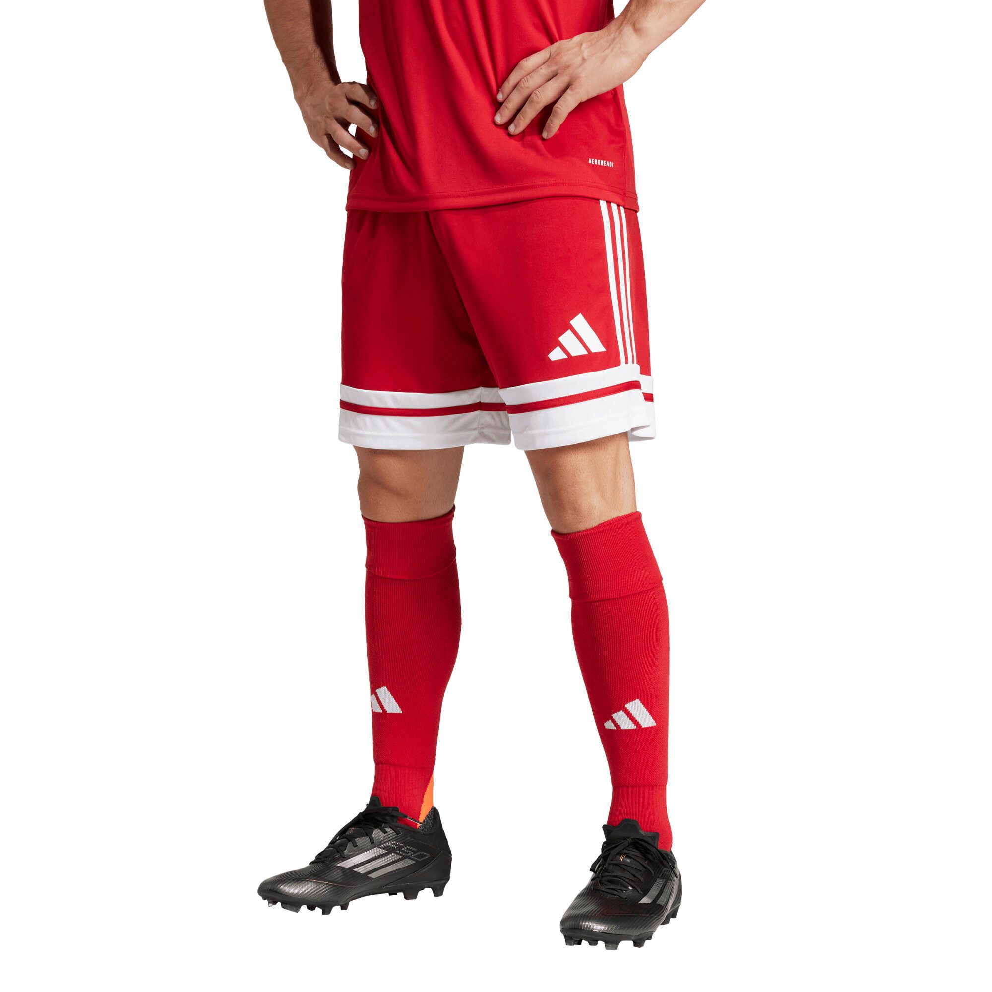 adidas  Shorts Squadra 25 günstig online kaufen