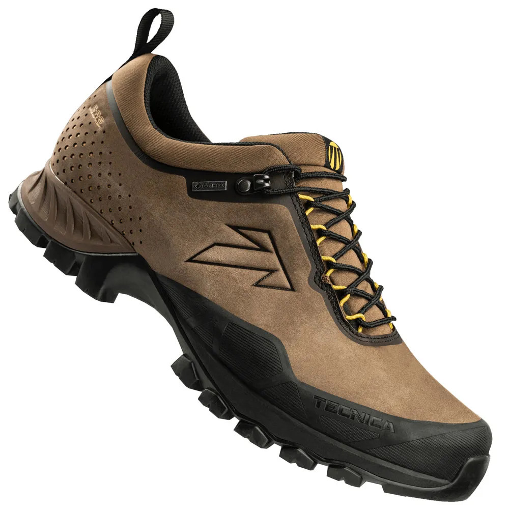 Tecnica Plasma GTX MS Shadow Savanna/Dusty Fieno günstig online kaufen