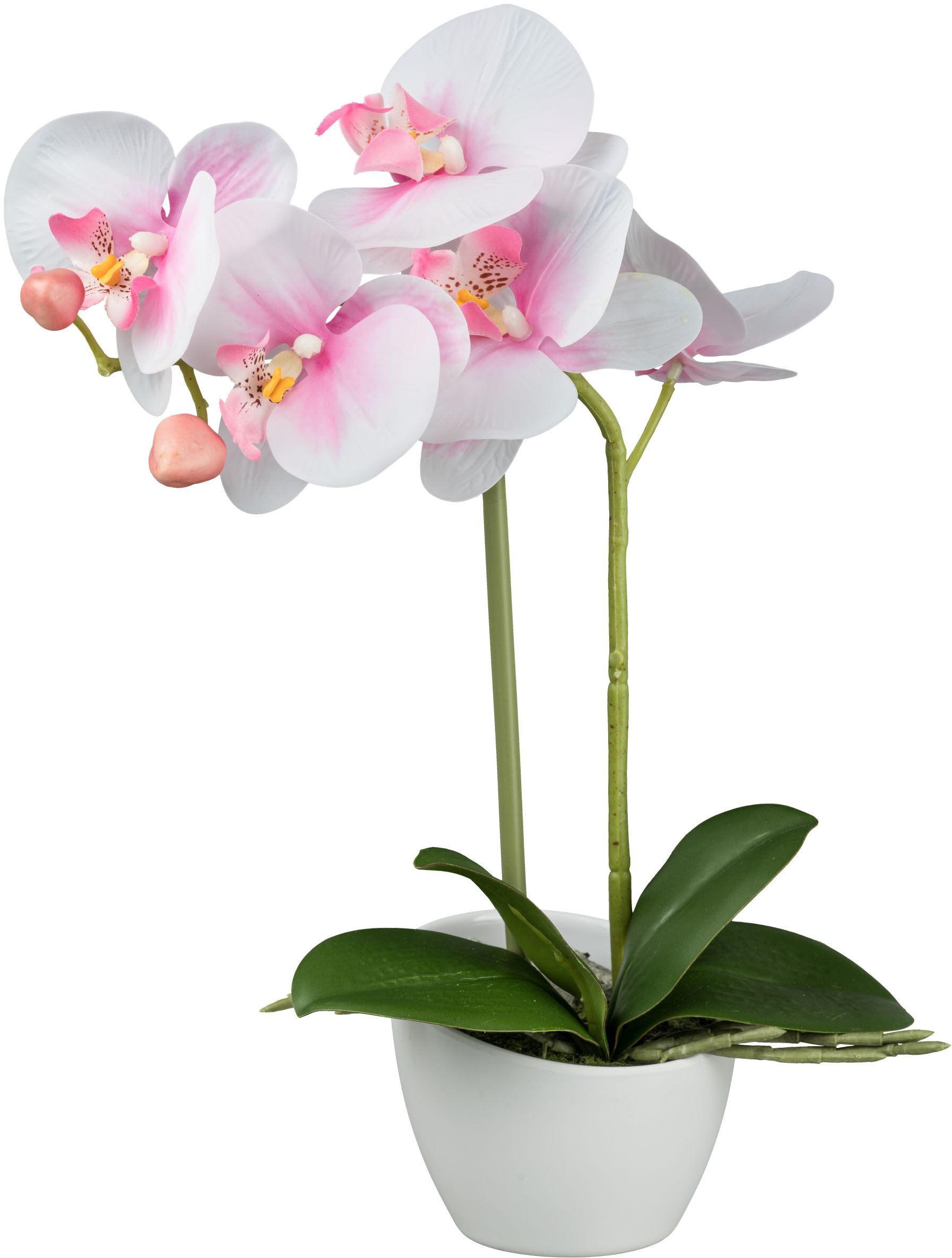 Creativ green Kunstorchidee "Orchidee Phalaenopsis", im weißen Design-Topf günstig online kaufen