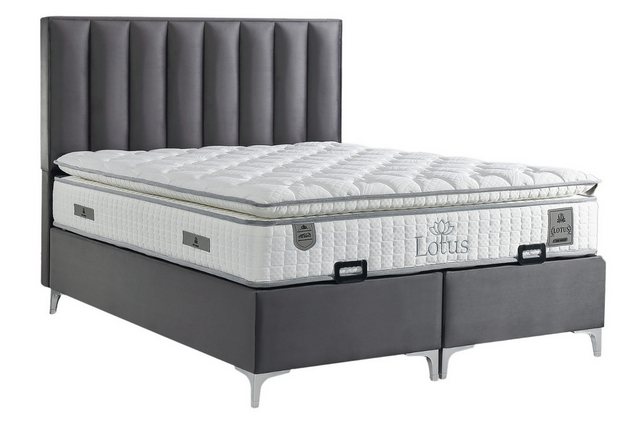 Villa Möbel Boxspringbett Lotus, XXL-Bettkasten mit Gasdruckfedern  mühelos günstig online kaufen