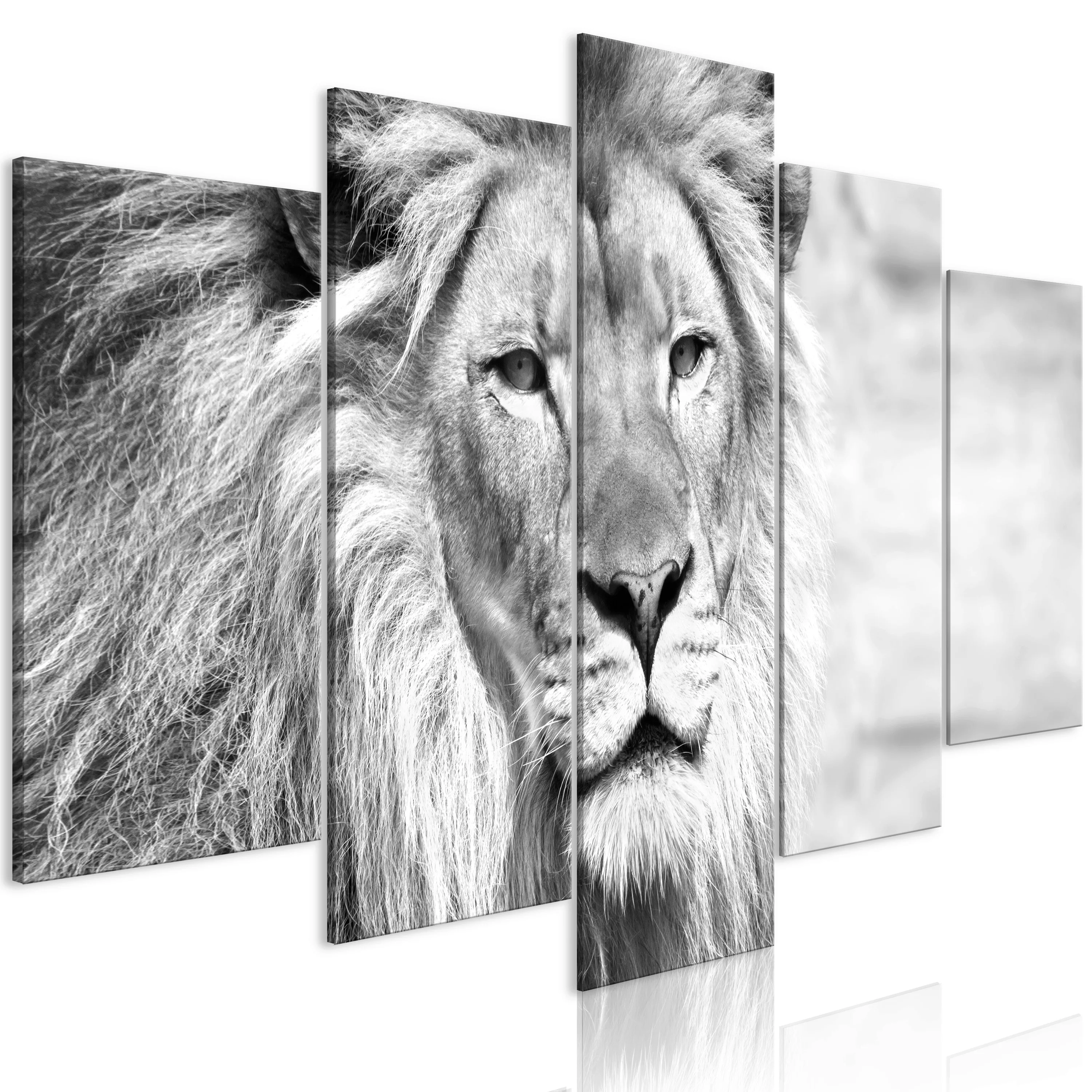 Wandbild - The King Of Beasts (5 Parts) Wide Black And White günstig online kaufen