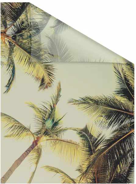 LICHTBLICK ORIGINAL Fensterfolie "Palmen und Sonne", 1 St., blickdicht, str günstig online kaufen