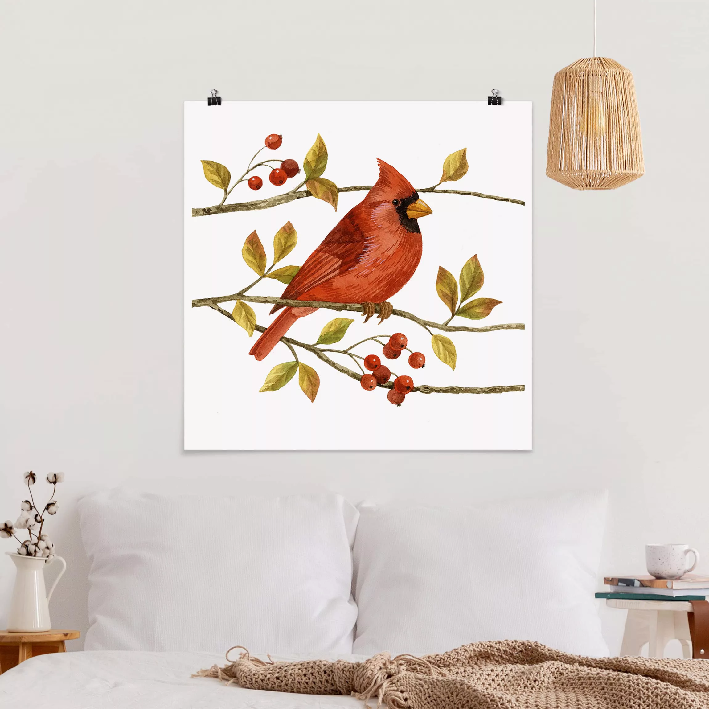 Poster Tiere - Quadrat Vögel und Beeren - Rotkardinal günstig online kaufen