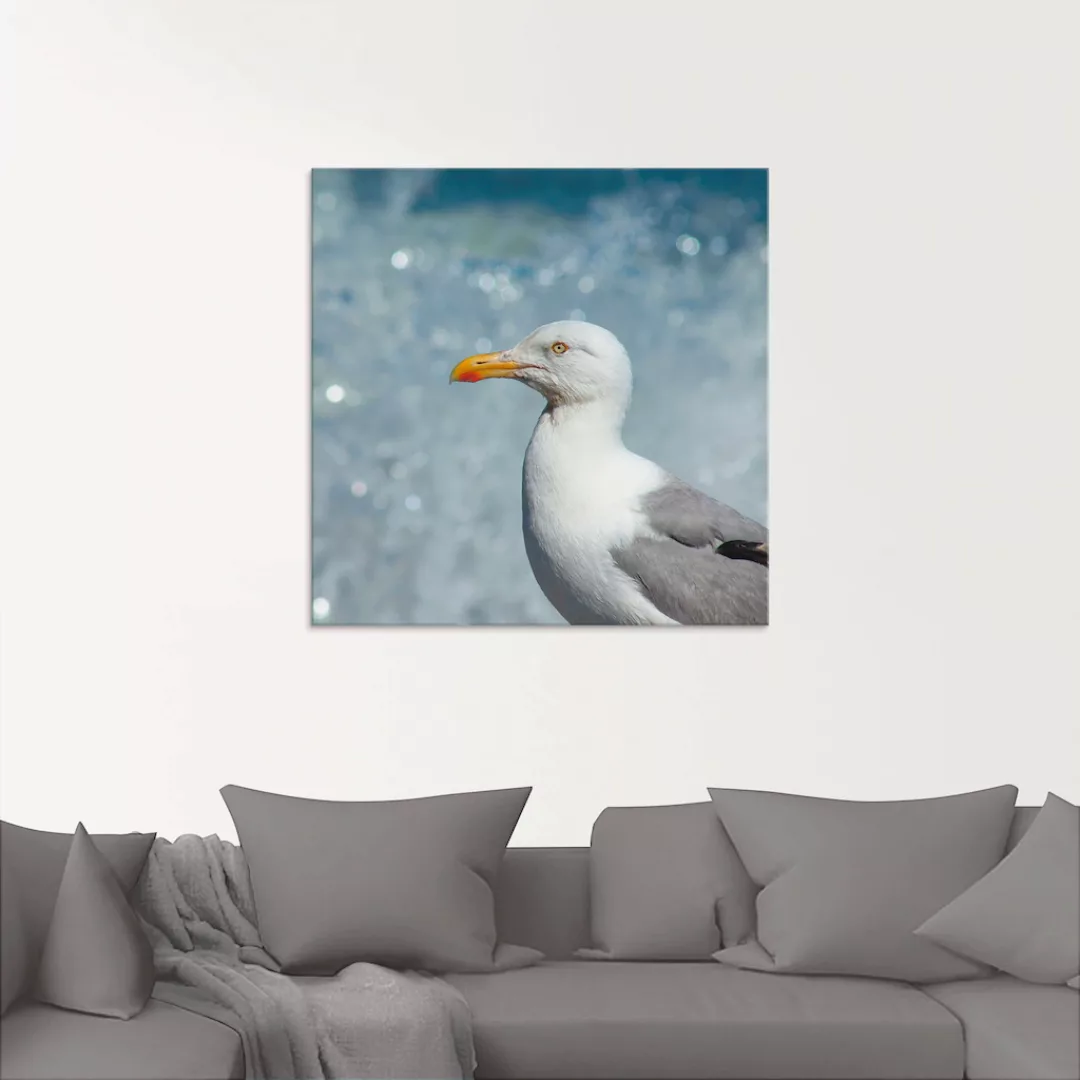 Artland Glasbild "Möwe an der Nordseeküste", Vögel, (1 St.), in verschieden günstig online kaufen