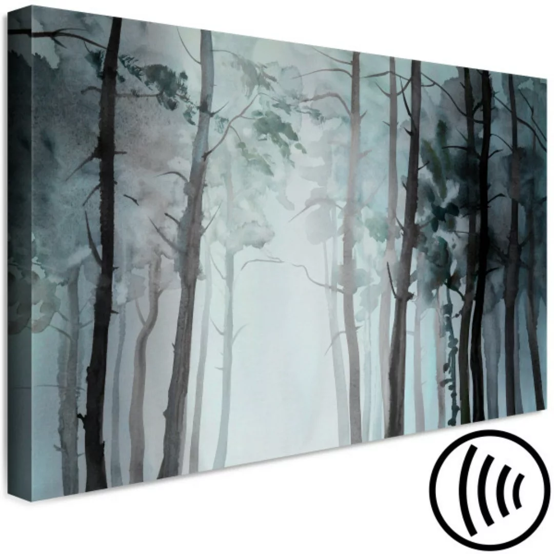 Leinwandbild Geheimnisvoller Wald - Bild eines jungen Waldes im Nebel XXL günstig online kaufen