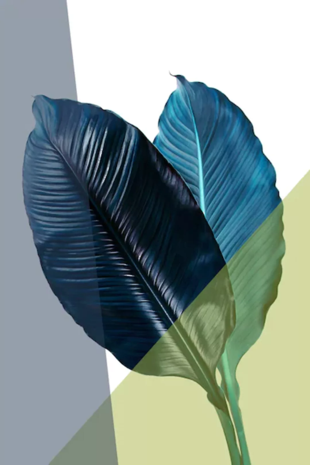 queence Acrylglasbild "Blätter" günstig online kaufen