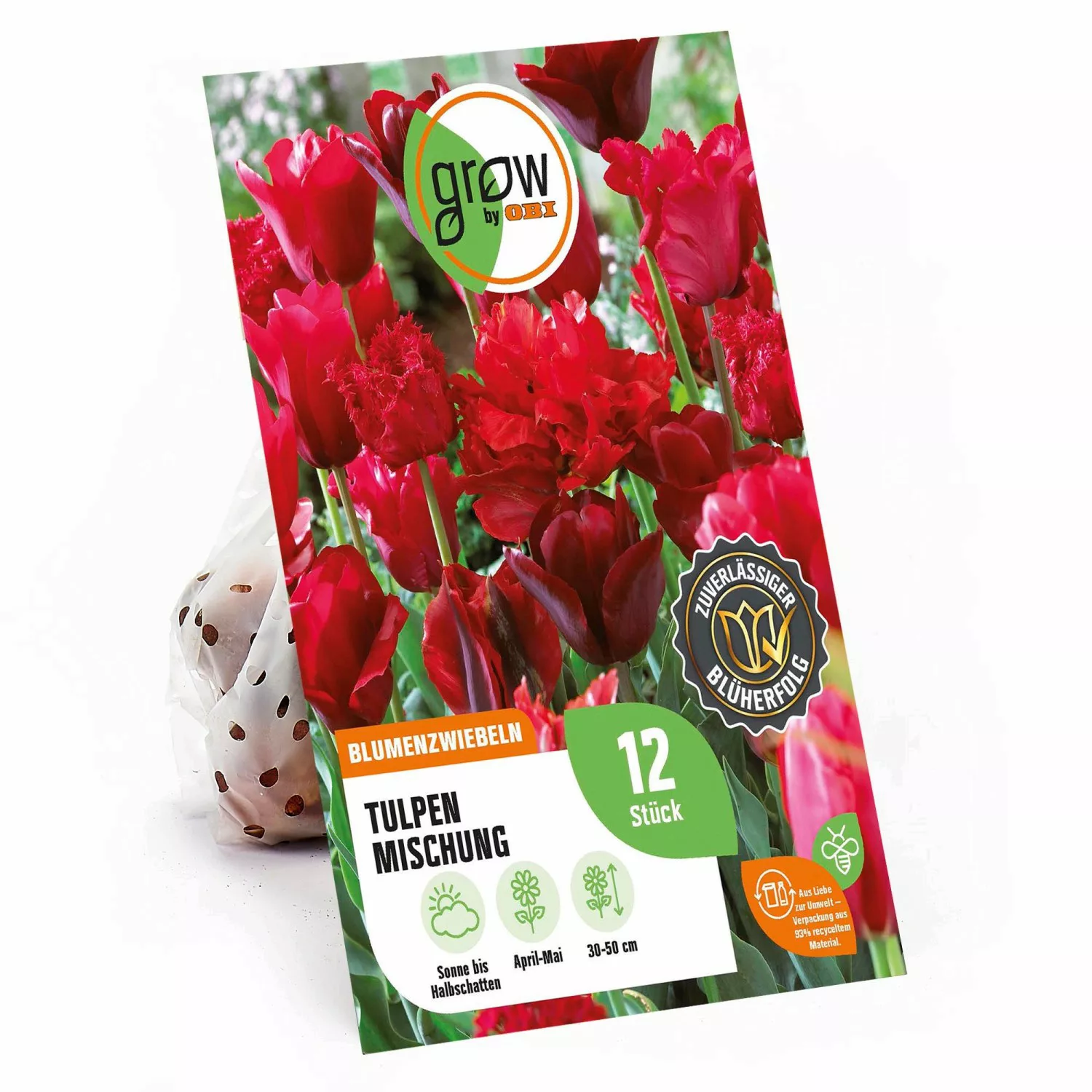 GROW by OBI Tulpen Mischung 4 Sorten 30 - 50 cm Tulipa günstig online kaufen