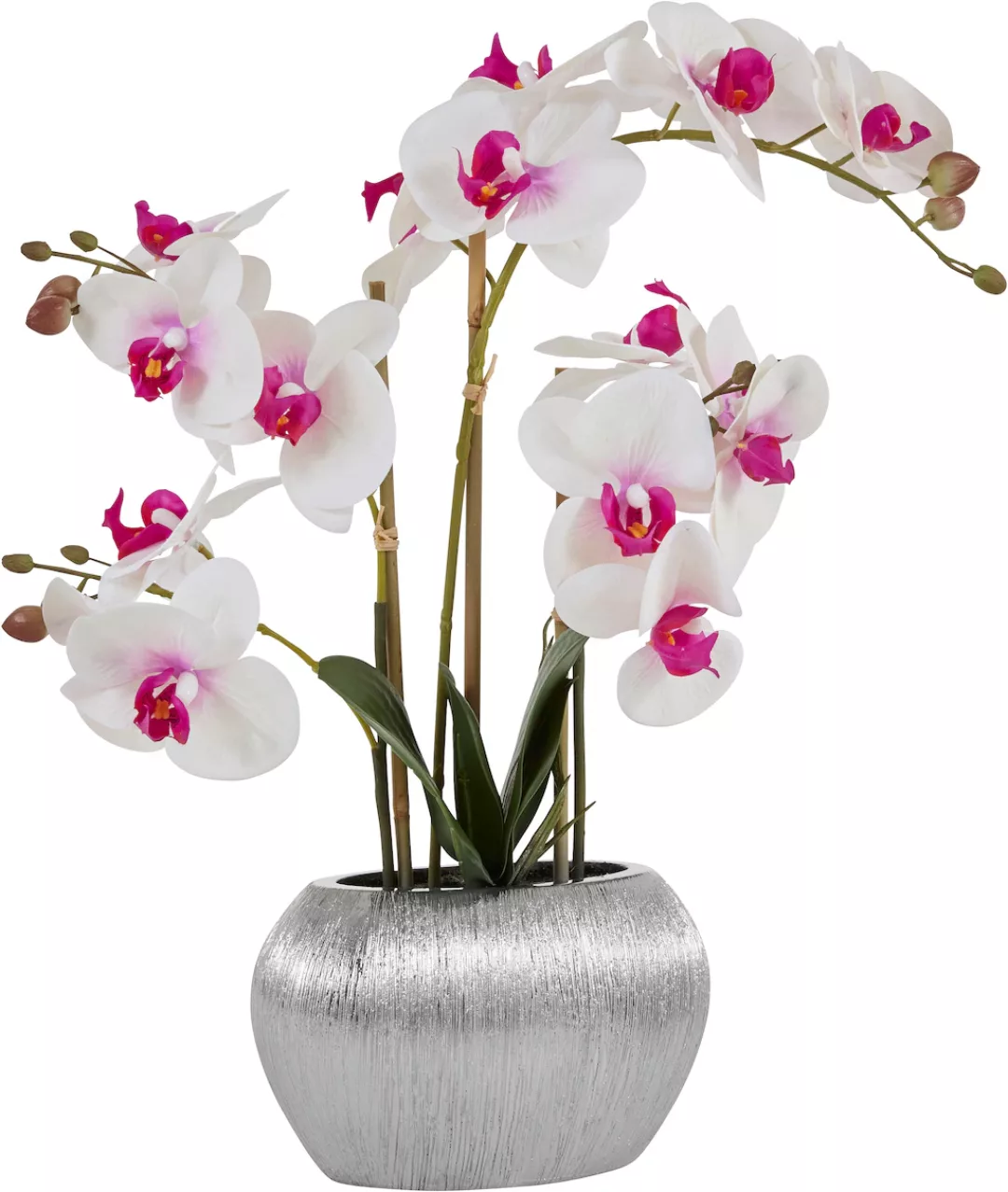 Home affaire Kunstpflanze "Orchidee", Kunstorchidee, im Topf günstig online kaufen