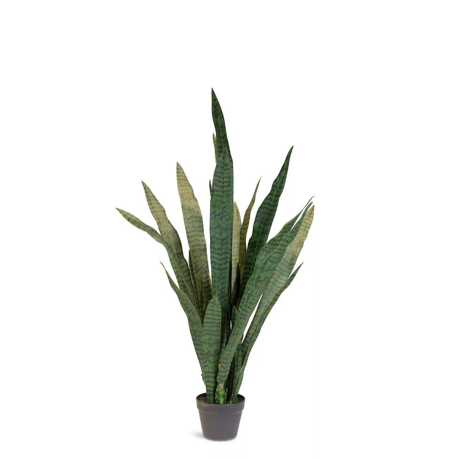 Künstlicher Ceylon-Bogenhanf - Sansevieria trifasciata 124 cm günstig online kaufen