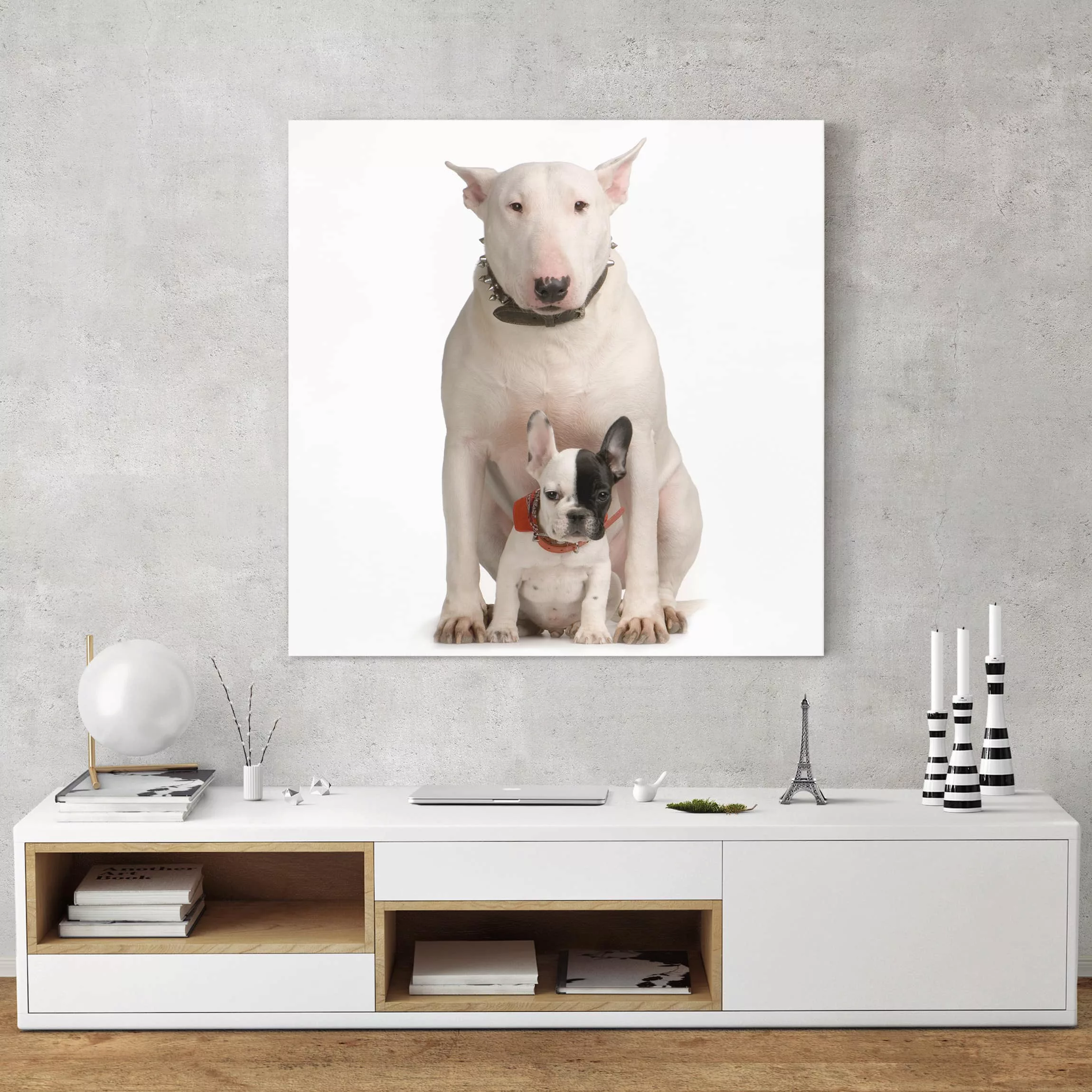 Leinwandbild Tiere - Quadrat Bull Terrier and friend günstig online kaufen