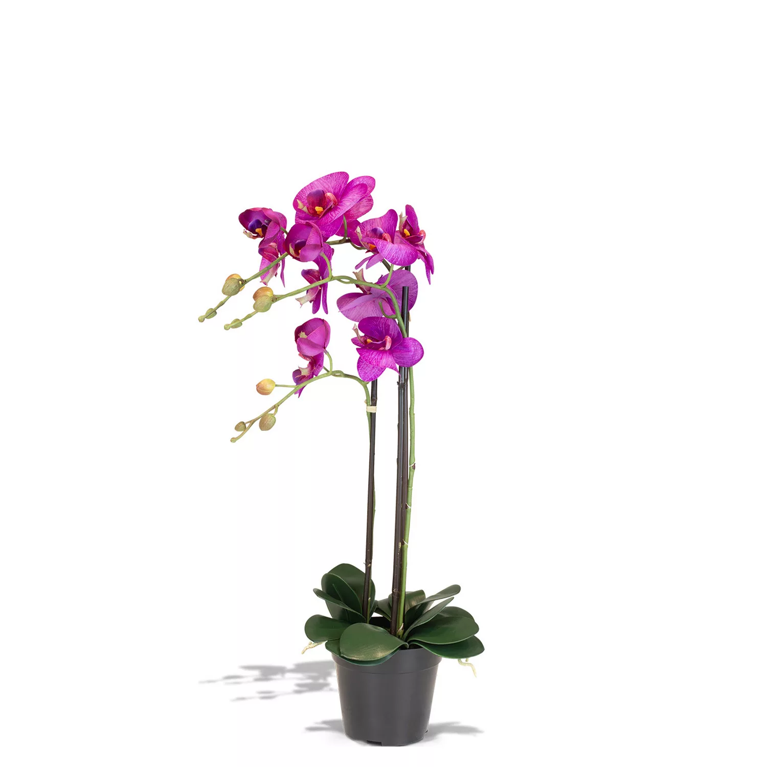 Orchidee Kunstpflanze pink 76 cm günstig online kaufen