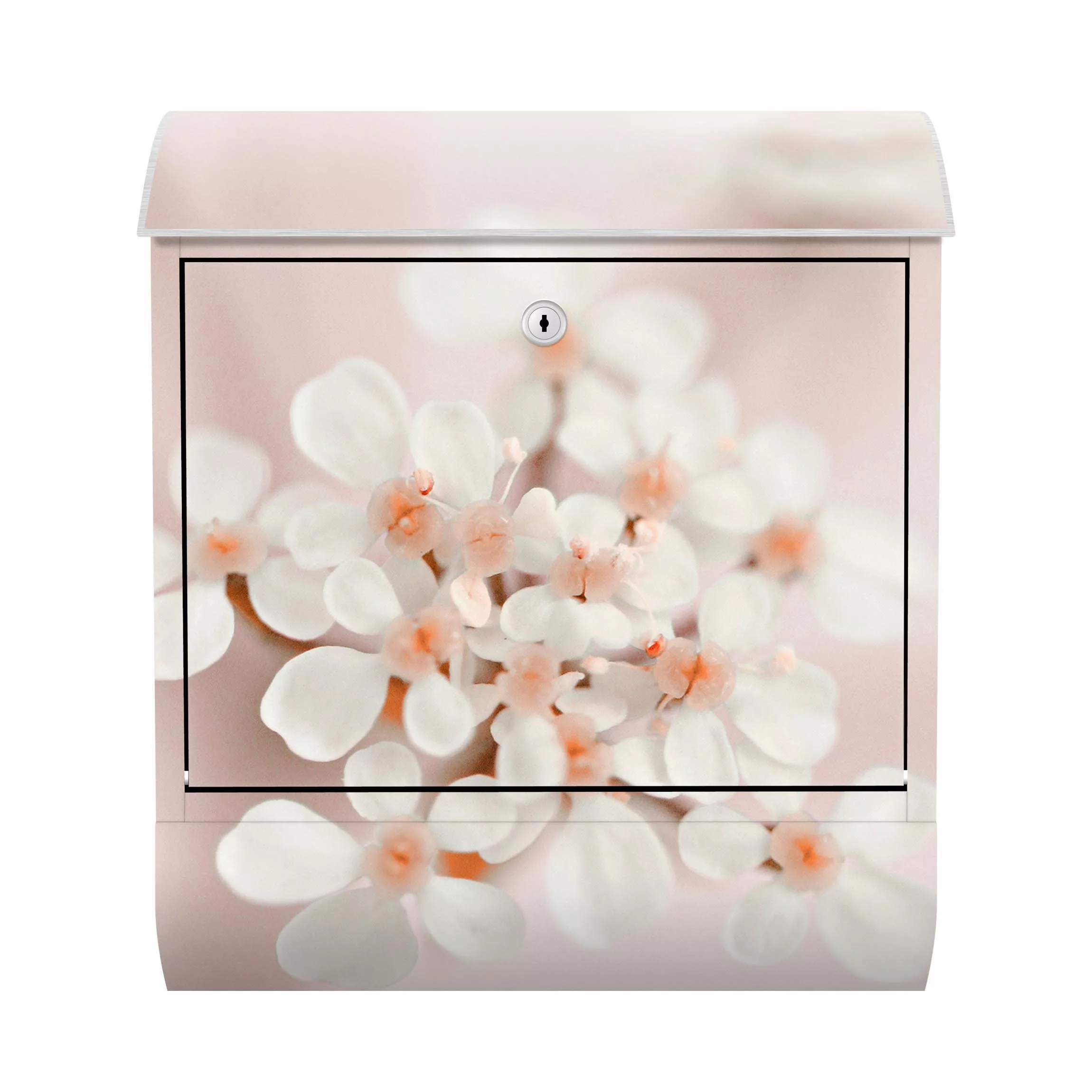 Briefkasten Miniblüten im Rosanen Licht günstig online kaufen