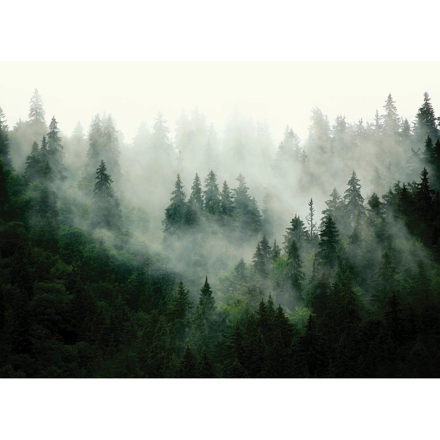 Sanders & Sanders Fototapete Berglandschaft Mit Bäumen Grün 3,75 x 2,7 m 60 günstig online kaufen