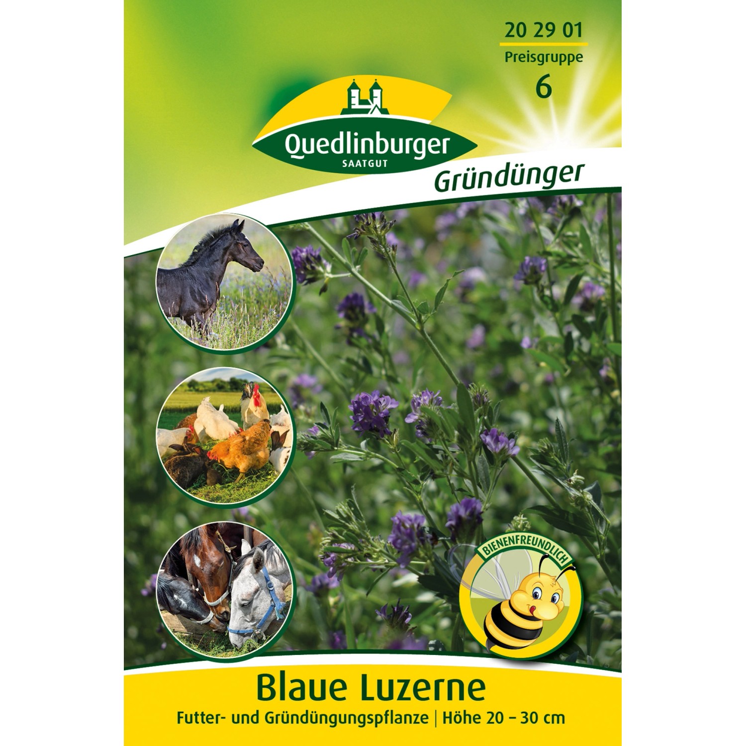 Quedlinburger LuzerneGroßpackung günstig online kaufen