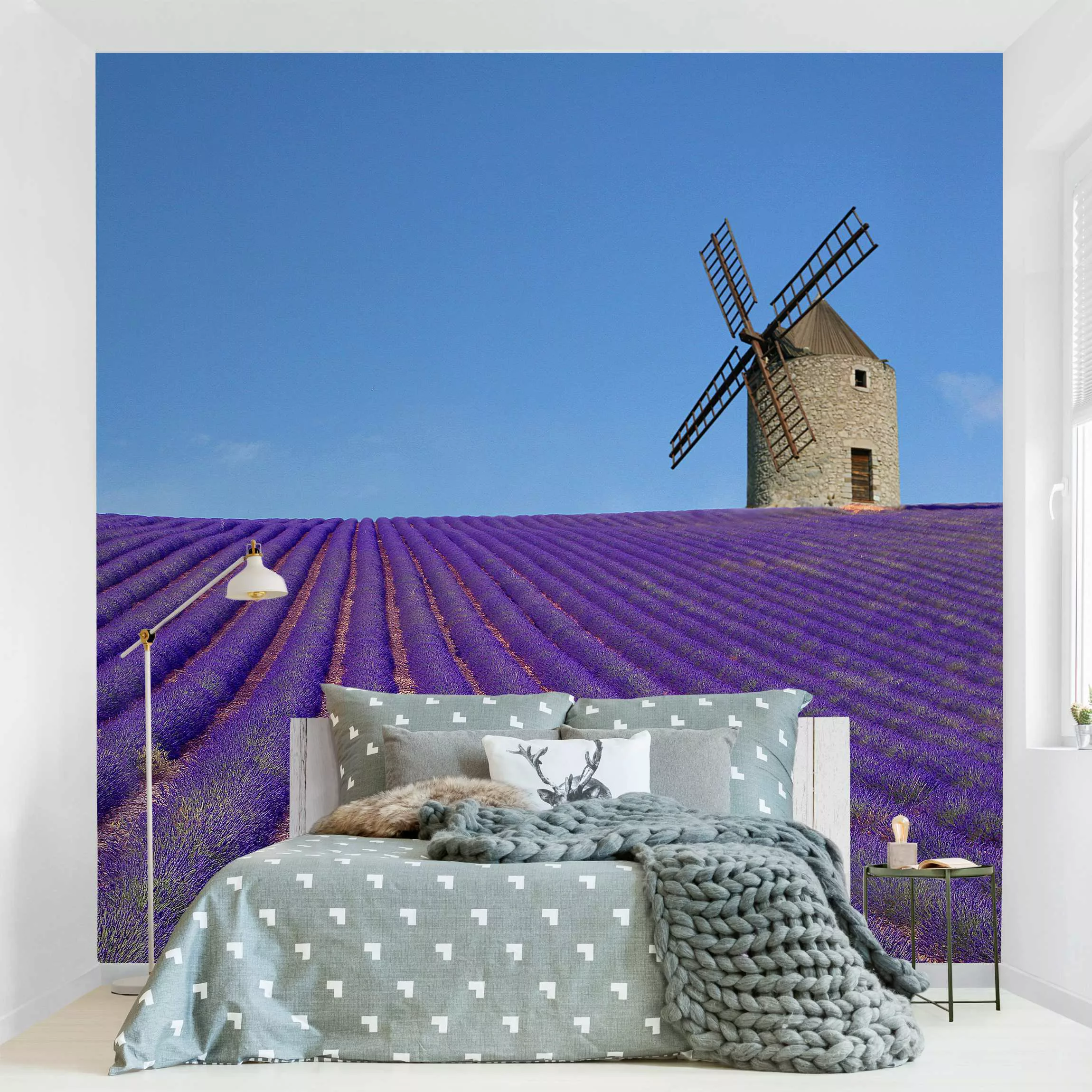 Fototapete Lavendelduft in der Provence günstig online kaufen