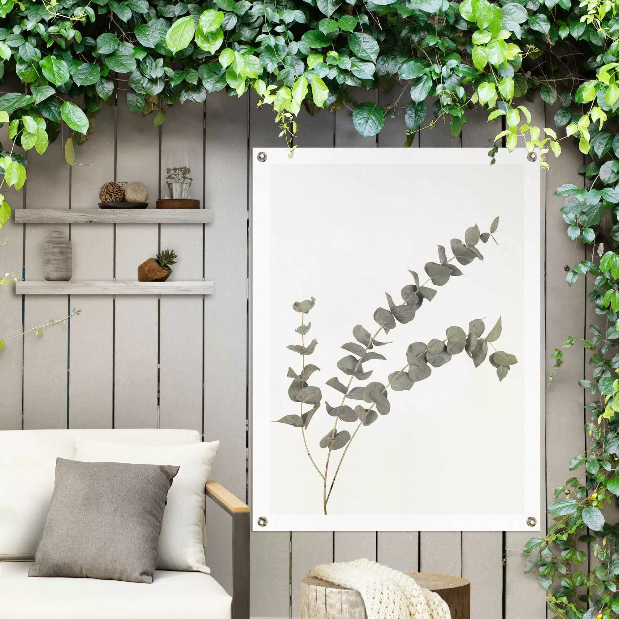 Reinders! Poster »Eukalyptus«, Outdoor für Garten oder Balkon günstig online kaufen