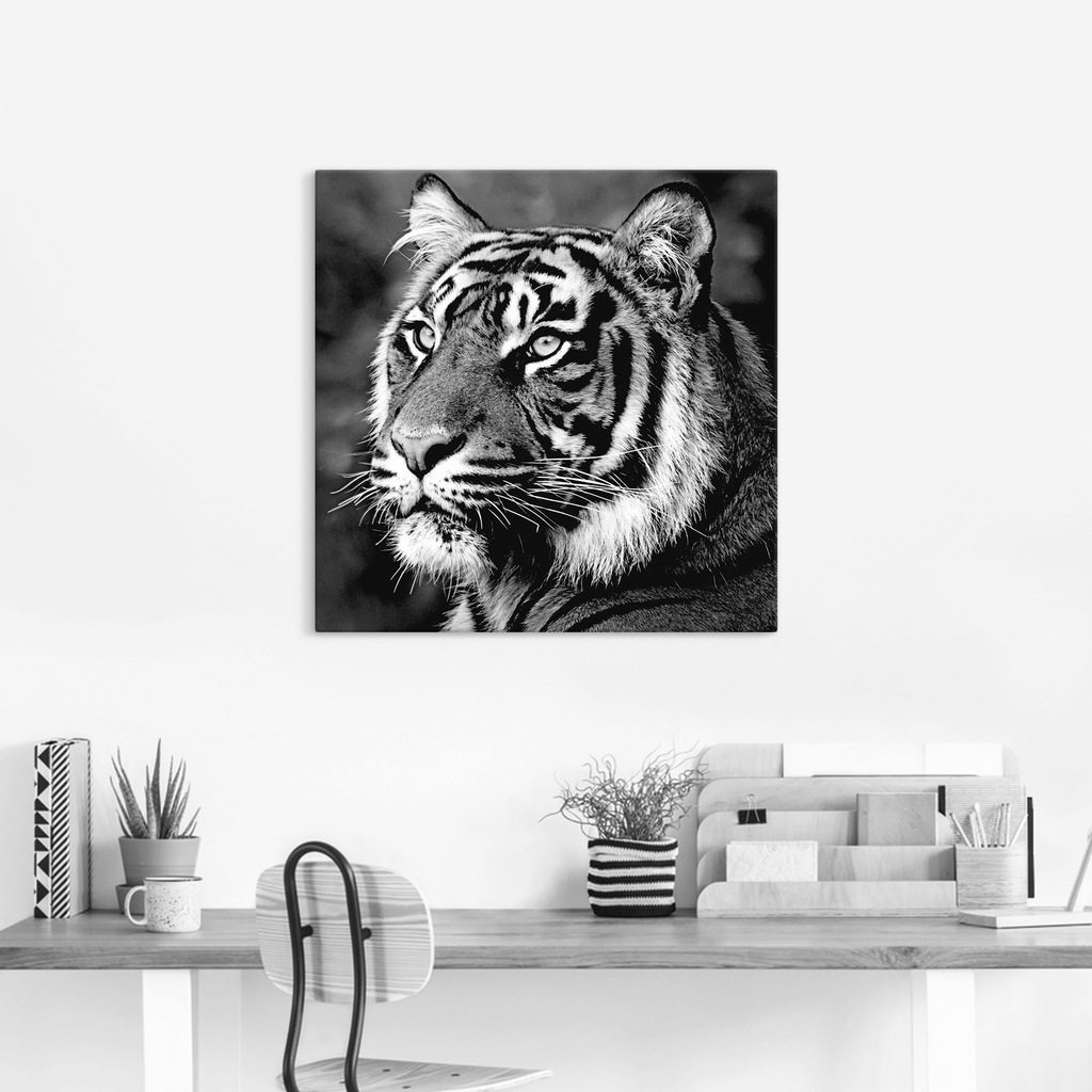 Artland Wandbild "Tiger", Wildtiere, (1 St.), als Leinwandbild, Poster, Wan günstig online kaufen