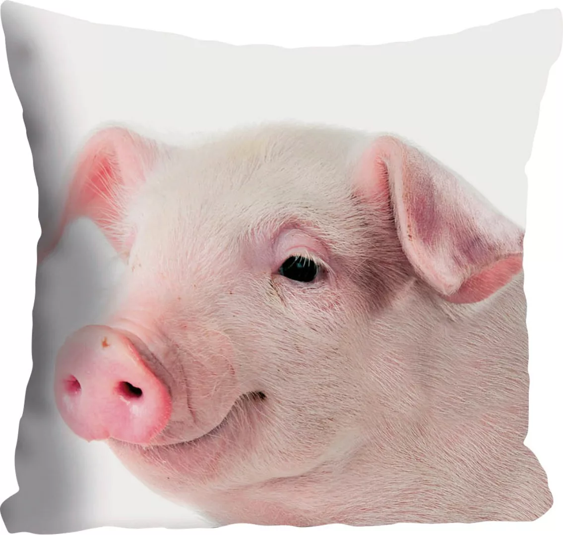 queence Dekokissen »Rebecca«, mit Schweinchen, Kissenhülle ohne Füllung, 1 günstig online kaufen