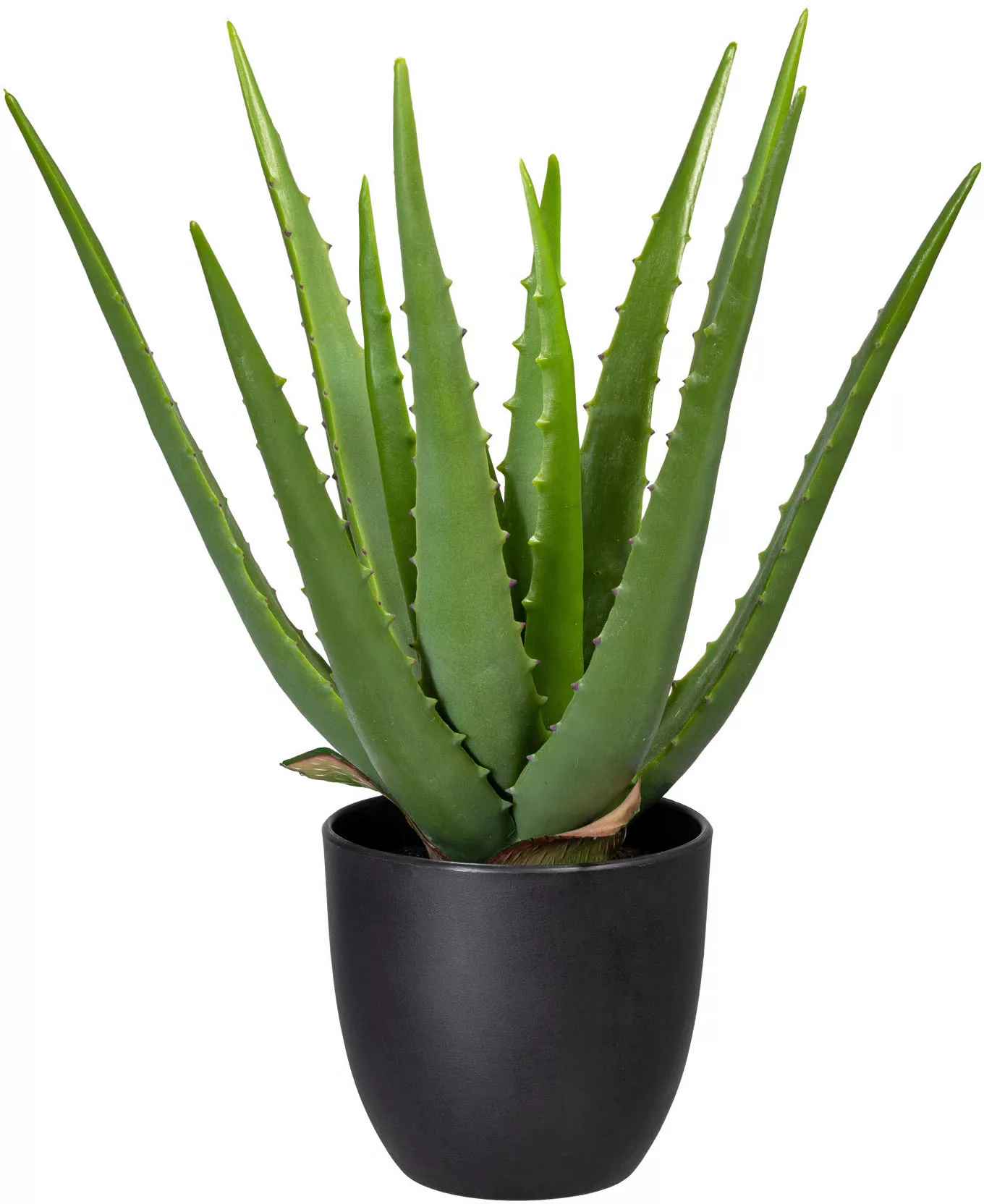 Creativ green Künstliche Zimmerpflanze "Aloe" günstig online kaufen