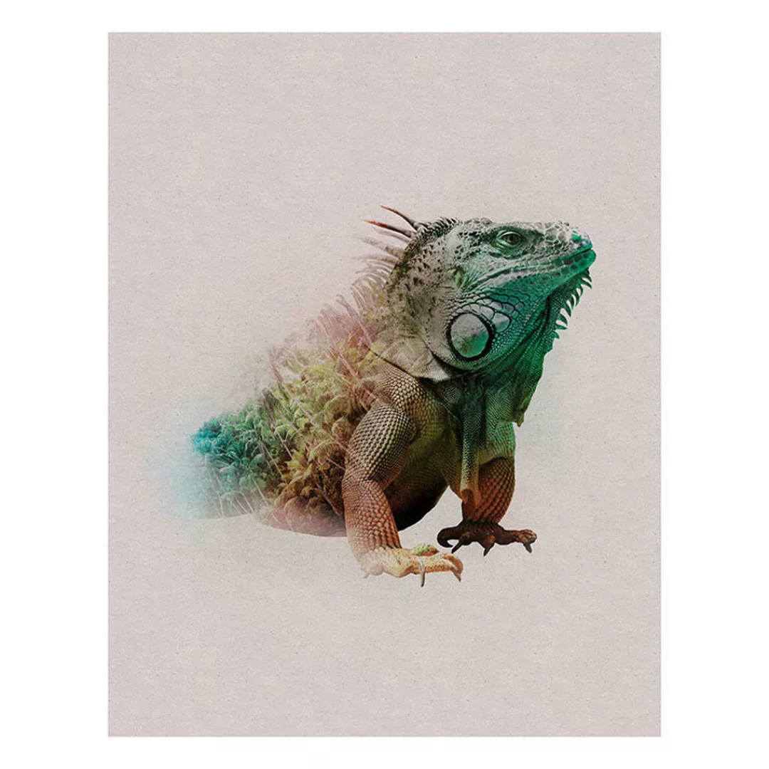 Komar Poster Animals Paradise Iguana Tiere B/L: ca. 40x50 cm günstig online kaufen