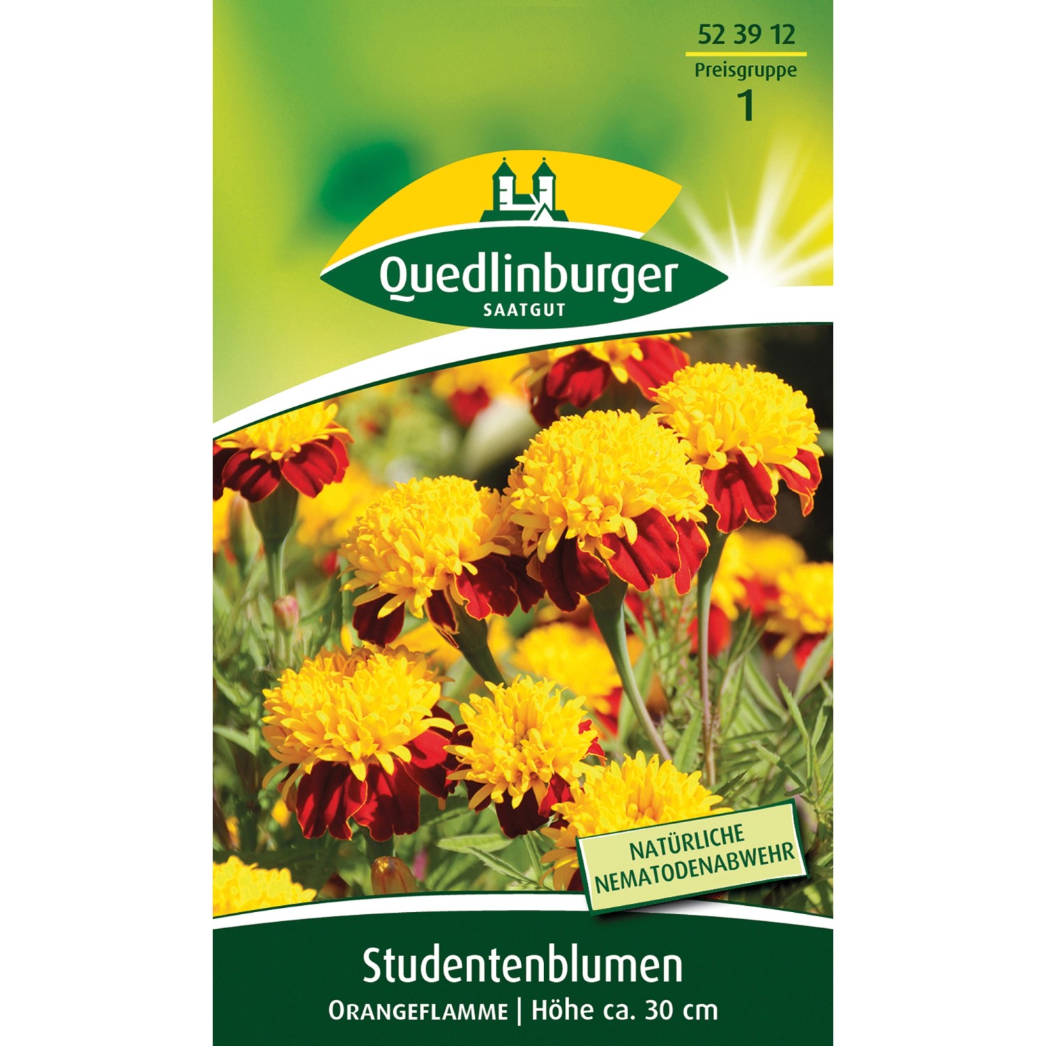 Quedlinburger Studentenblume ''Orangeflamme'' günstig online kaufen