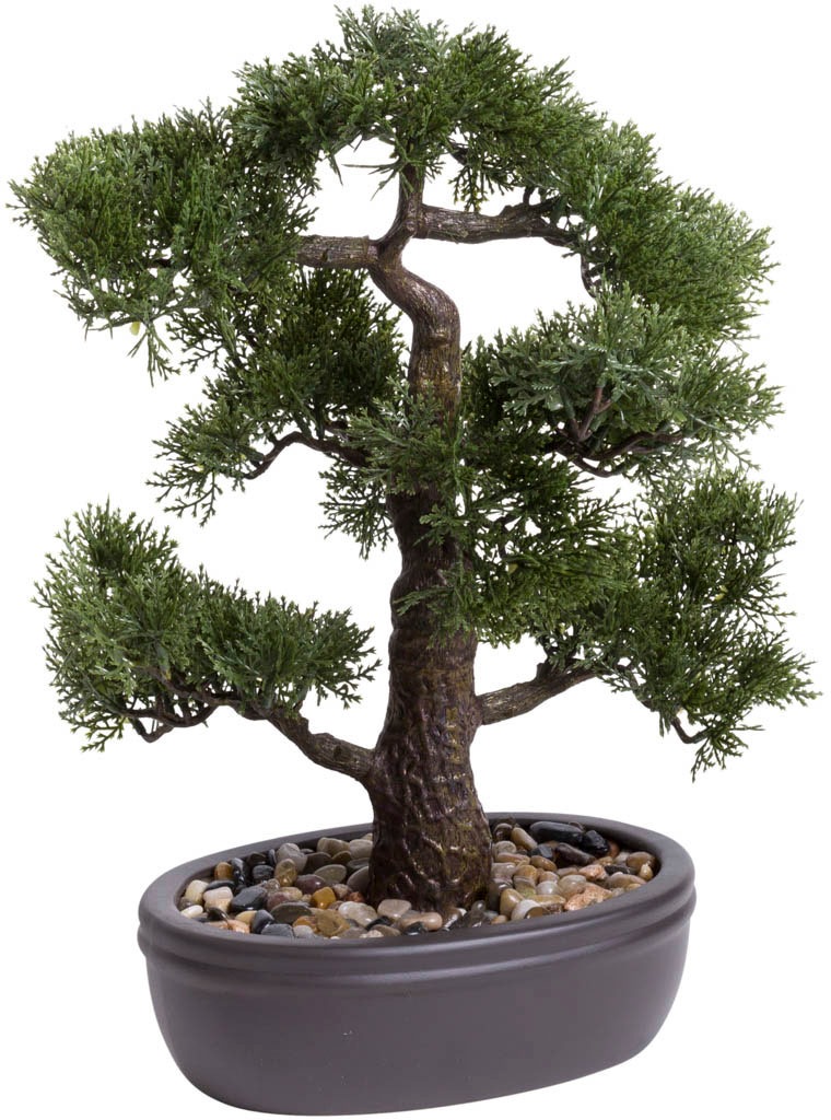 Botanic-Haus Kunstbonsai "Ceder Bonsai" günstig online kaufen